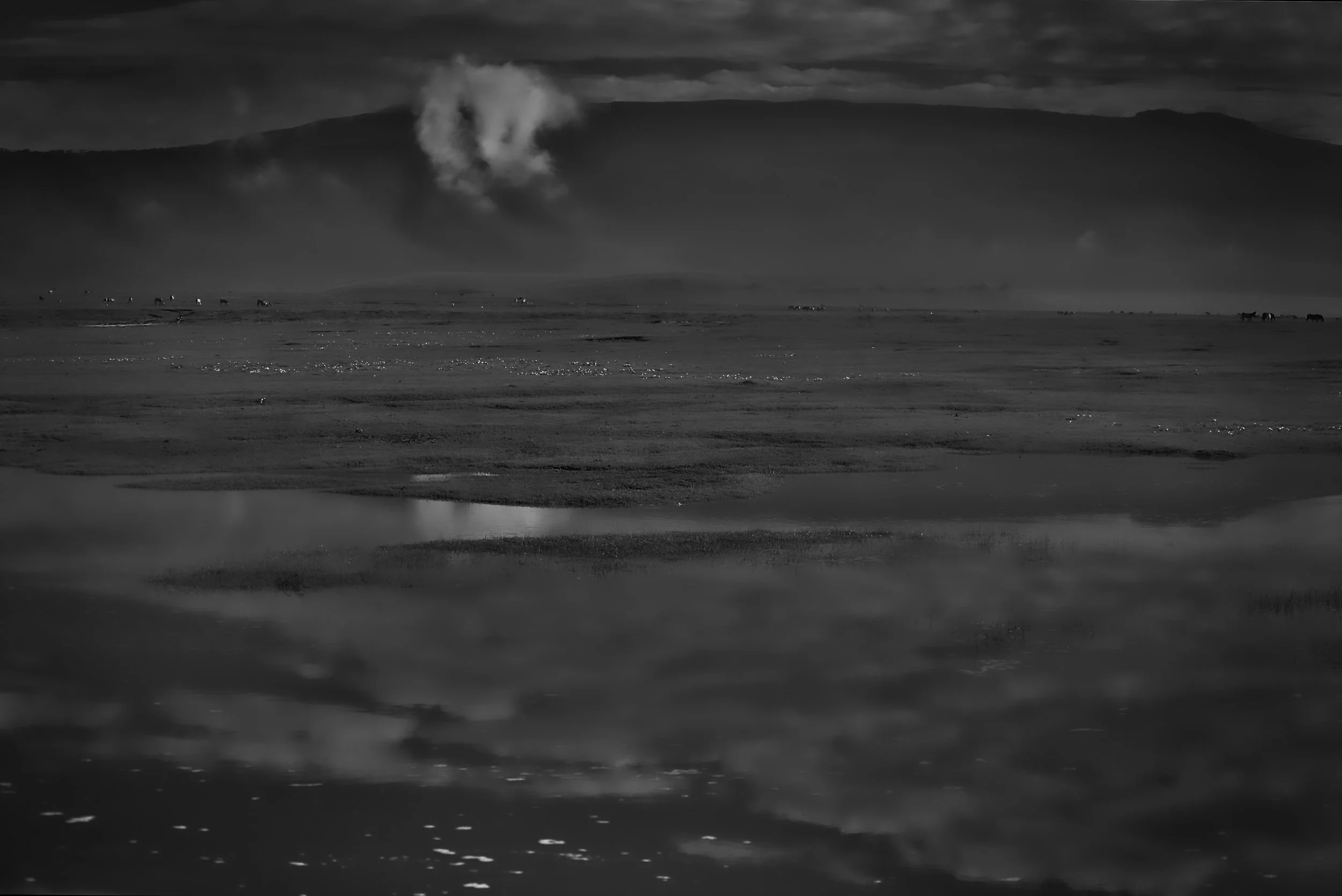 Ngorongoro Crater, Tanzania.