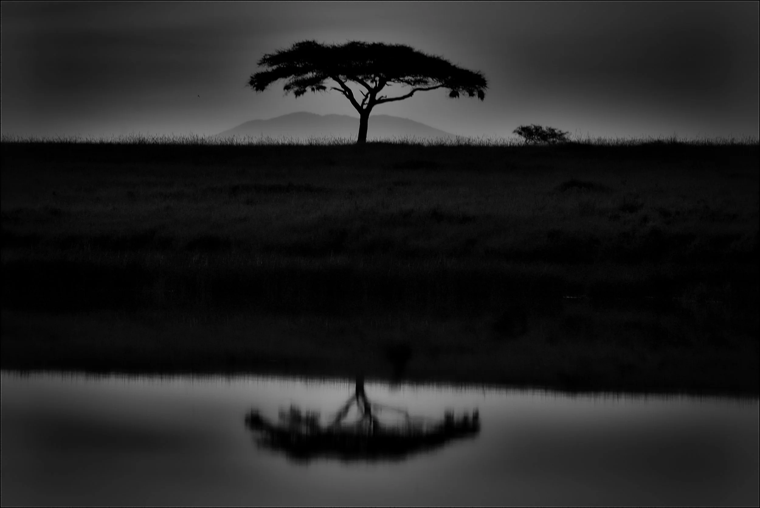 Serengeti National Park, Tanzania.