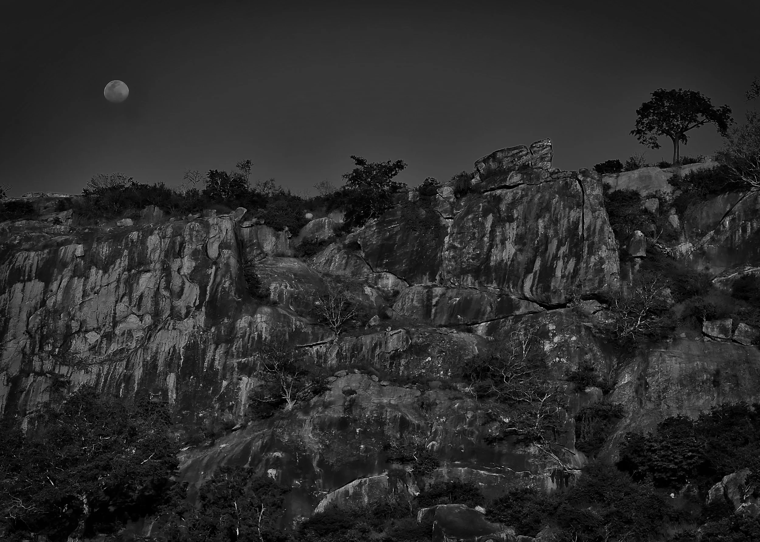 Tsavo West National Park, Kenya.