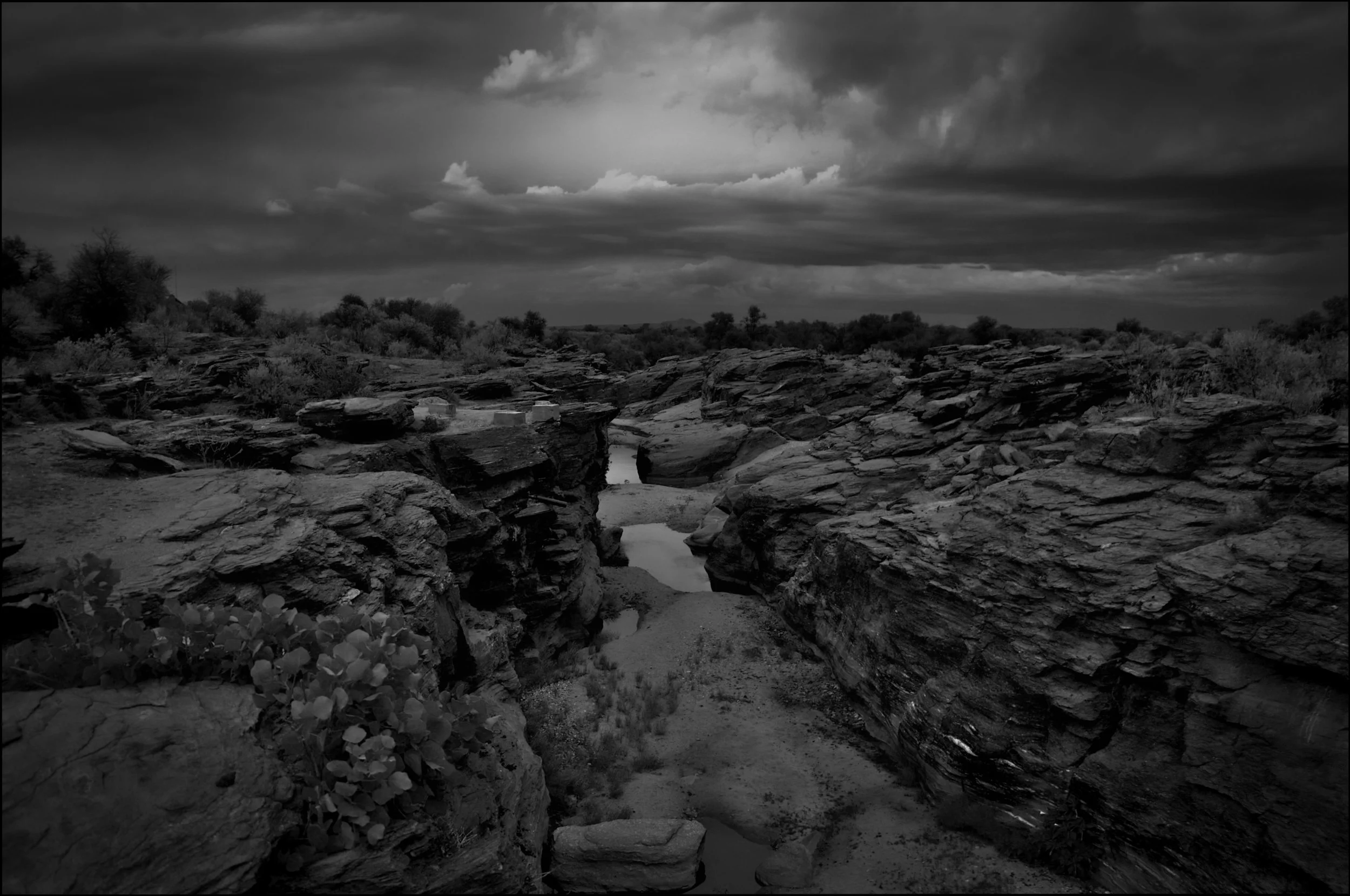 N/a'an ku sê Wildlife Sanctuary, Namibia.