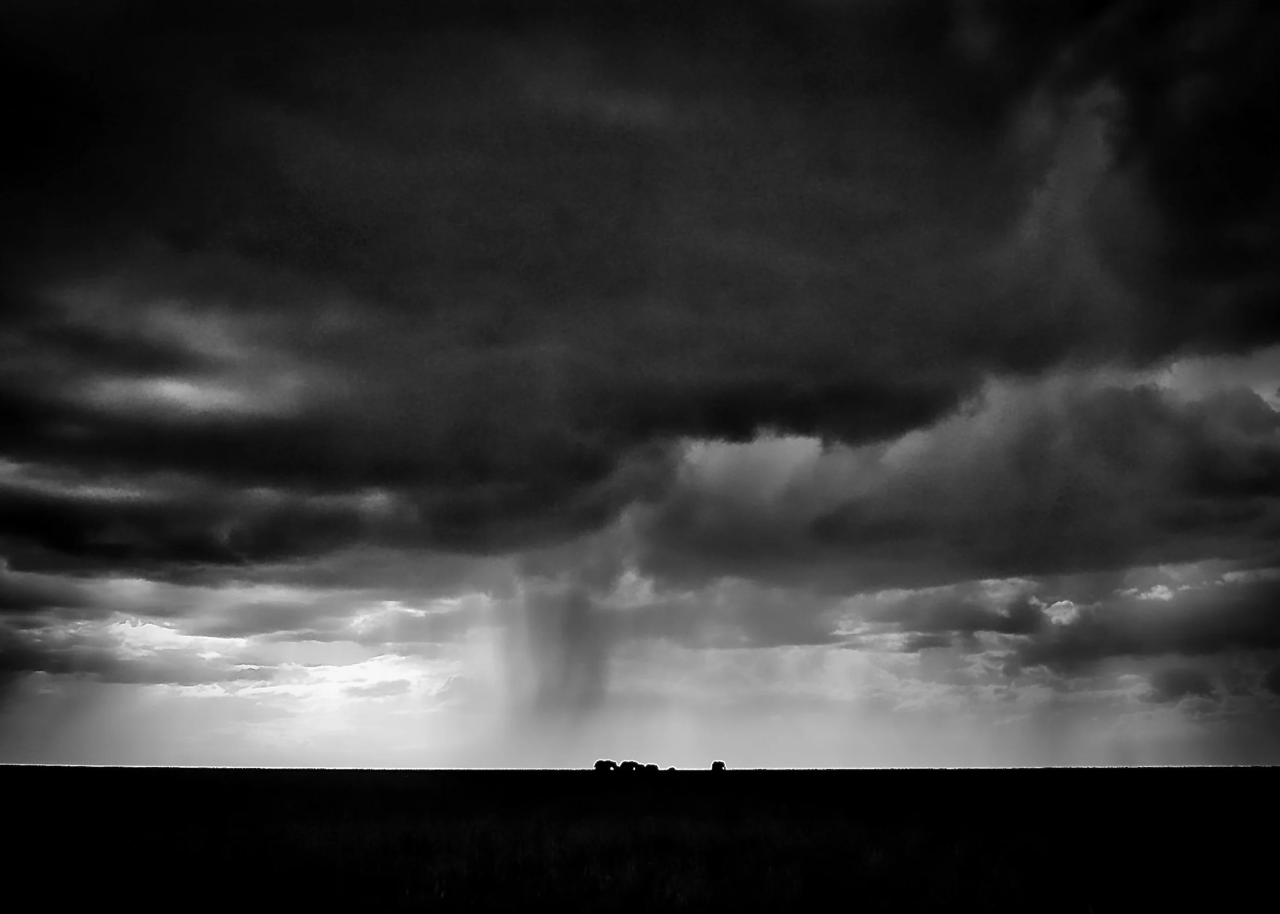 Etosha National Park, Namibia.