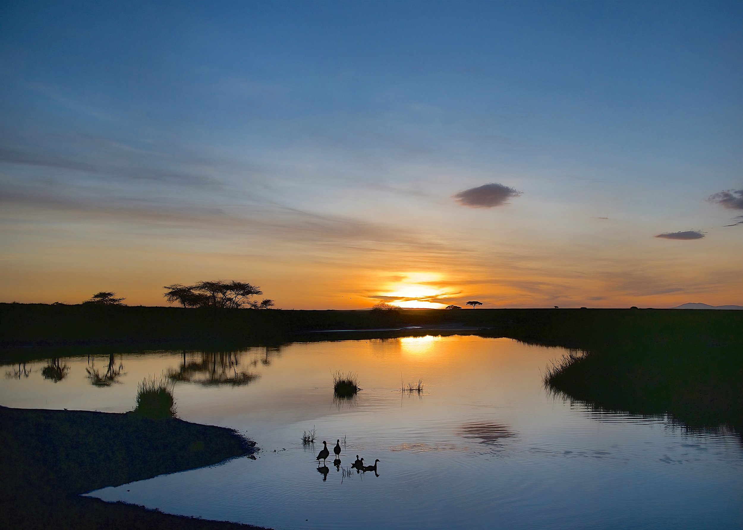  Serengeti National Park, Tanzania 