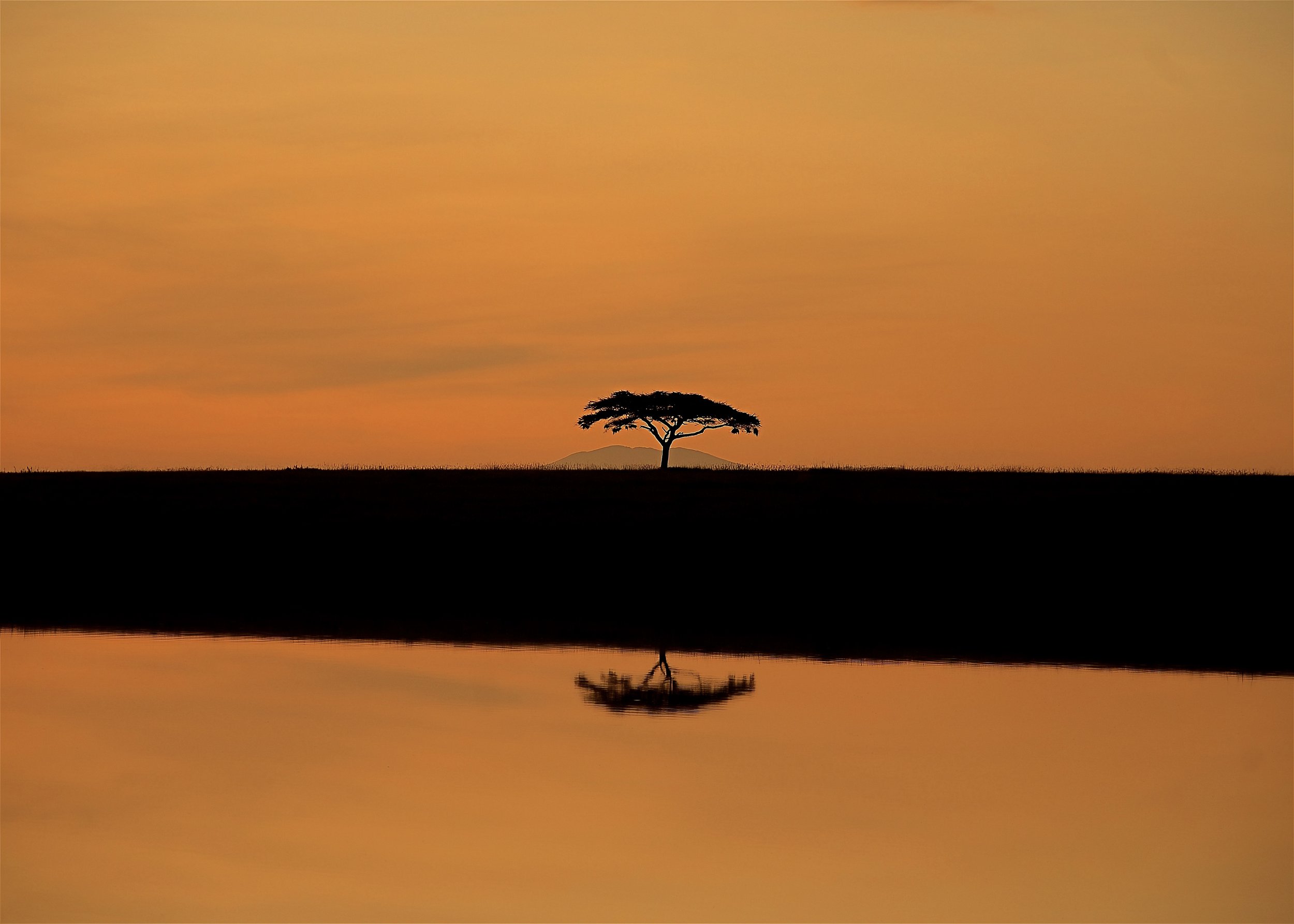  Serengeti National Park, Tanzania 