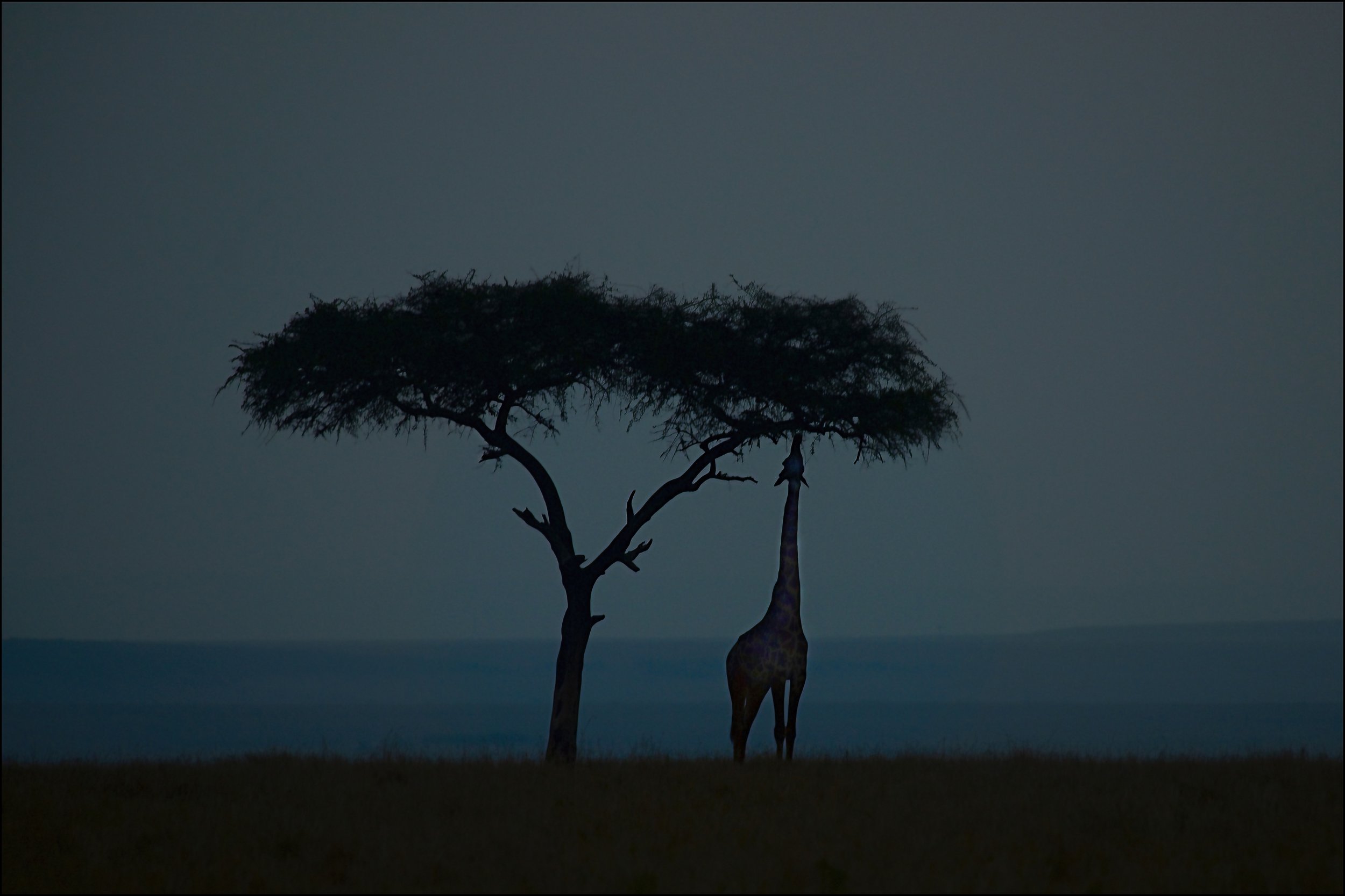  Maasai Mara National Reserve, Kenya 