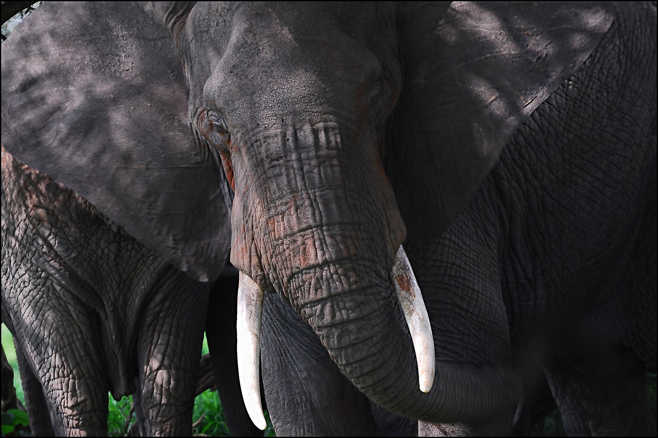  Tarangire National Park, Tanzania 