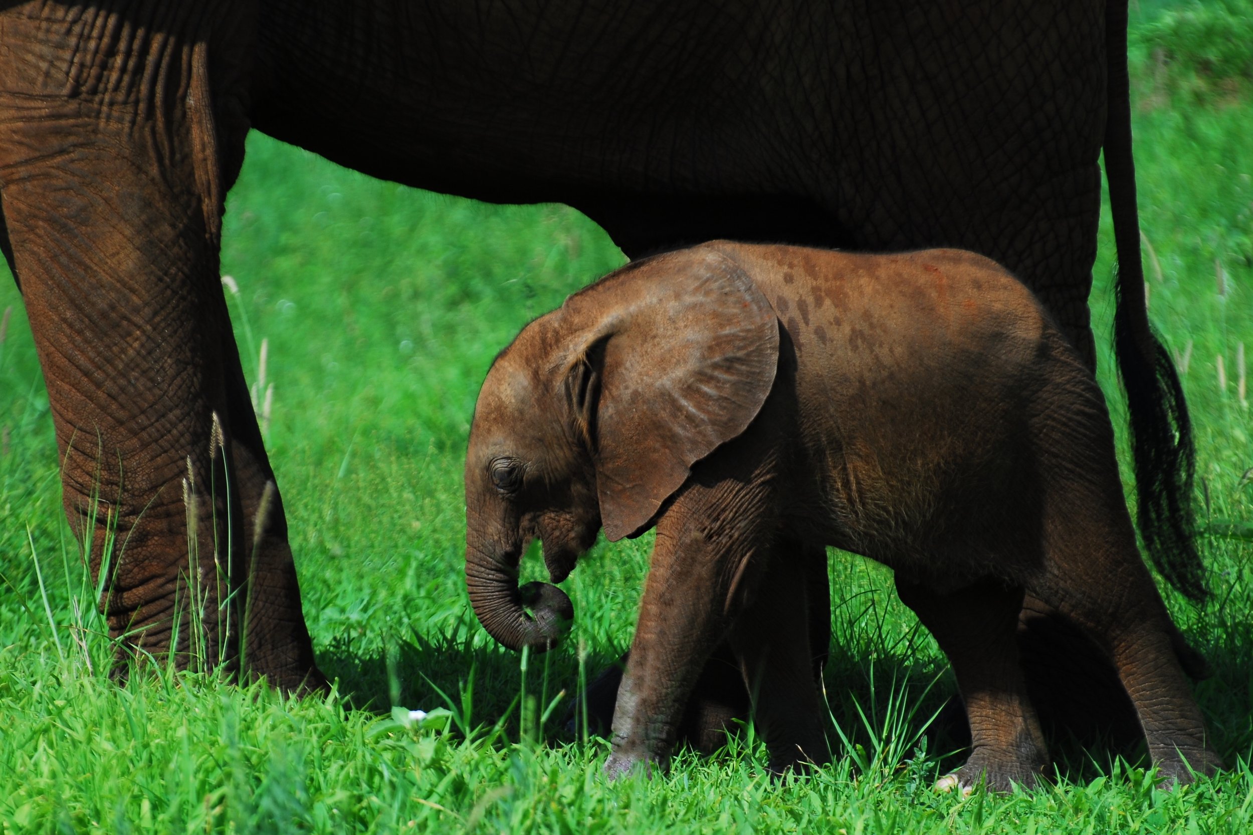  Tarangire National Park, Tanzania 