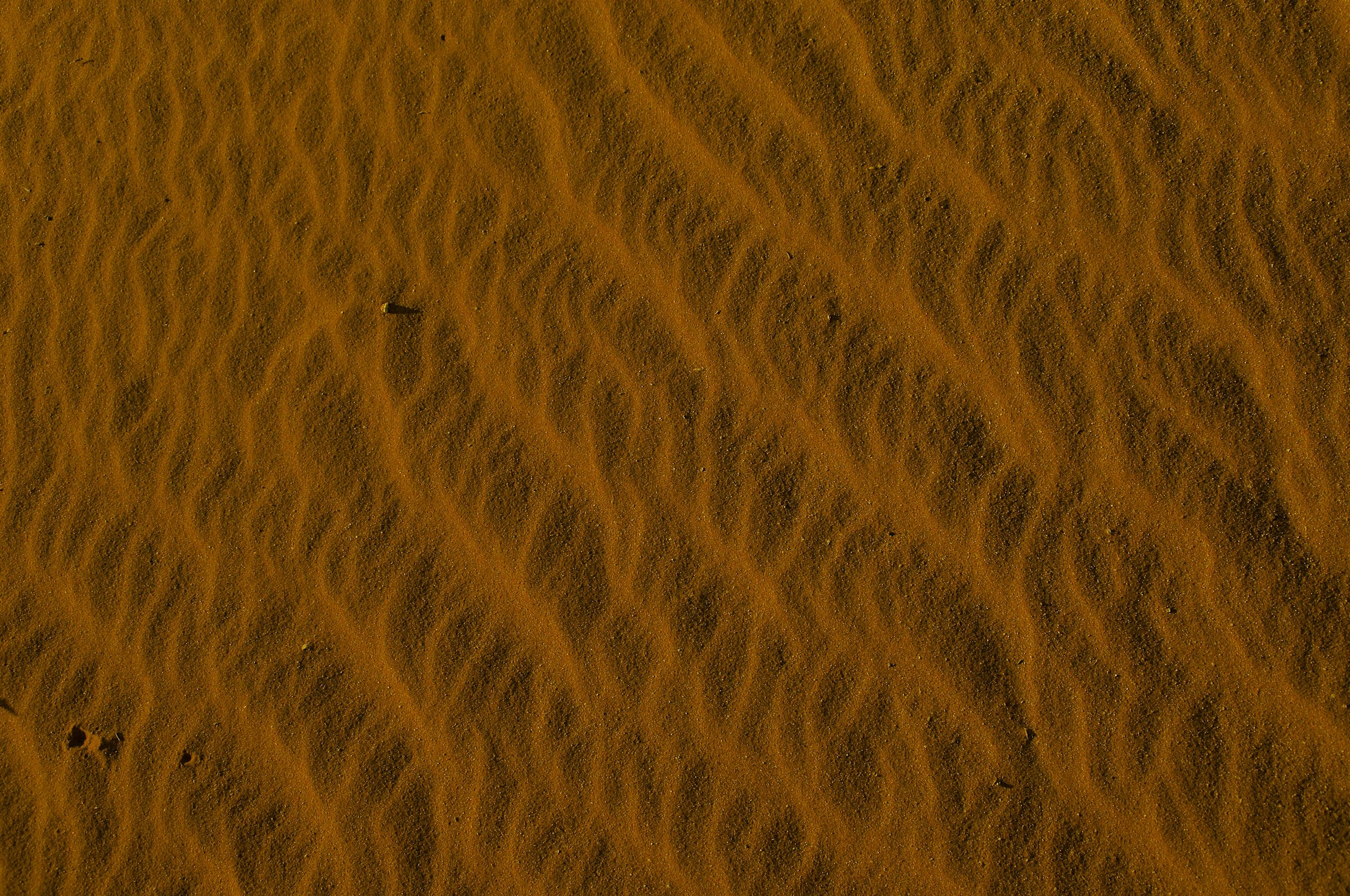  Namib Desert, Namibia 