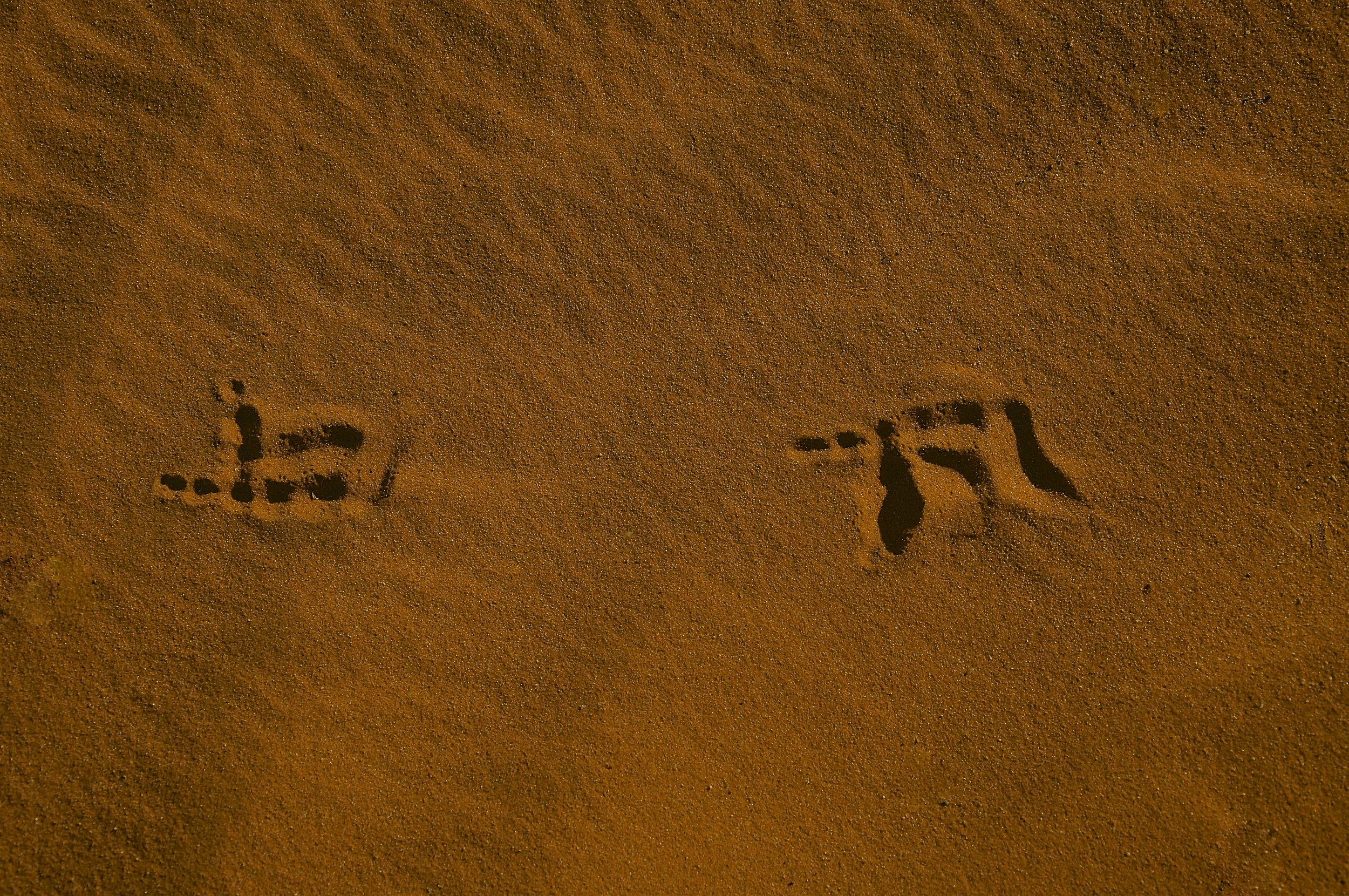  Namib Desert, Namibia 