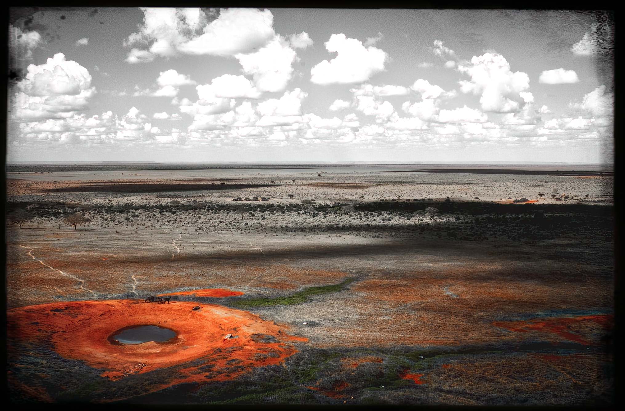 website_tsavo1-DeNoiseAI-raw.jpg