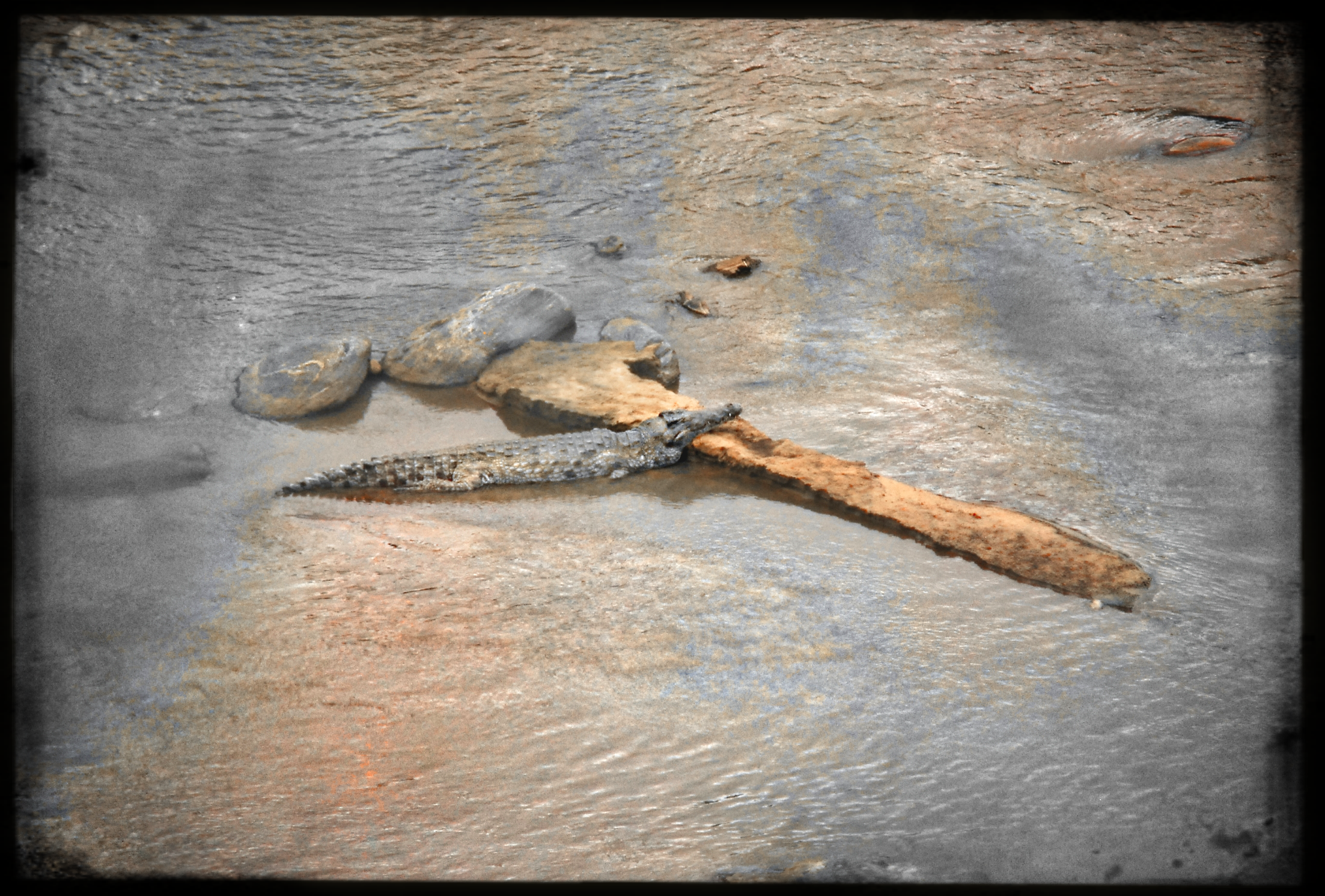 website_tsavo10-DeNoiseAI-raw.jpg