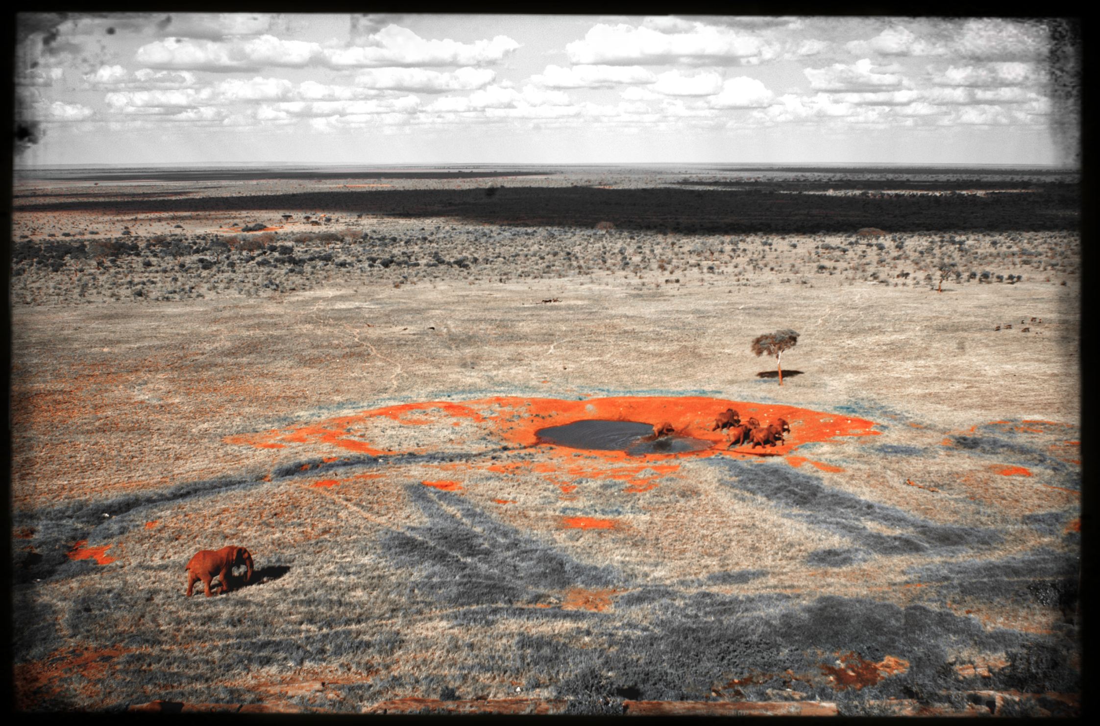 website_tsavo13-DeNoiseAI-raw..jpg