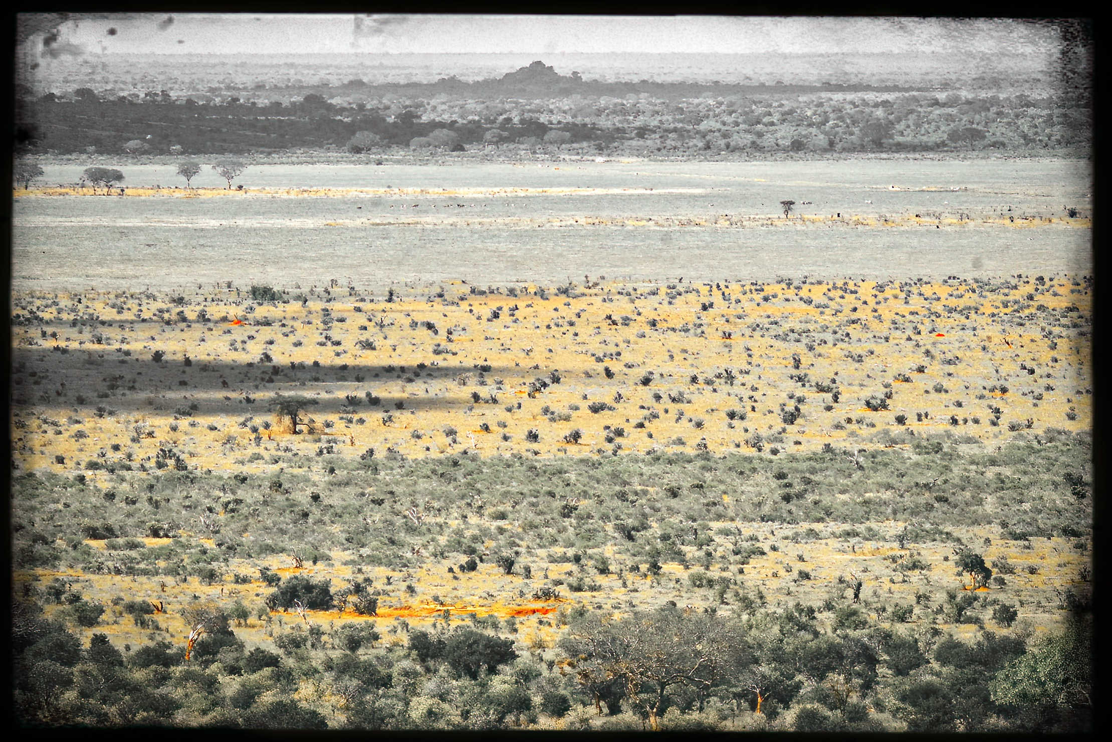 website_tsavo14-DeNoiseAI-raw.jpg