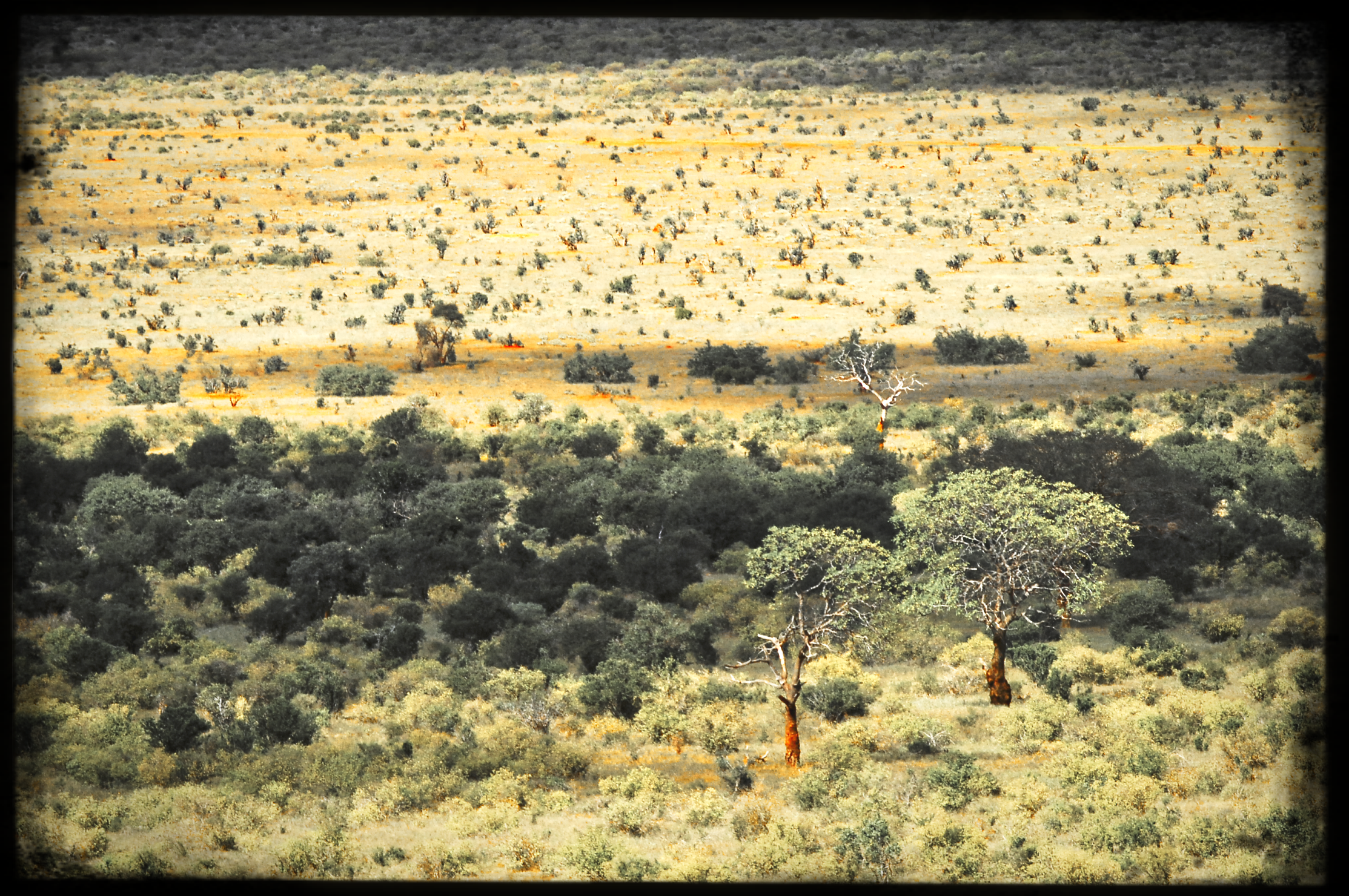 website_tsavo15-DeNoiseAI-raw.jpg