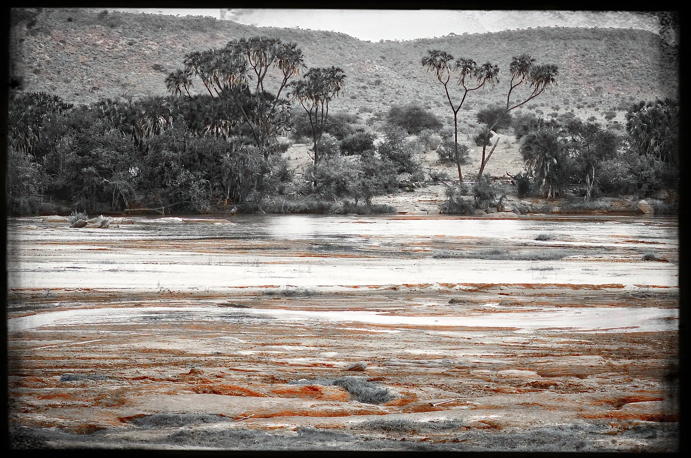 website_tsavo21-DeNoiseAI-raw.jpg