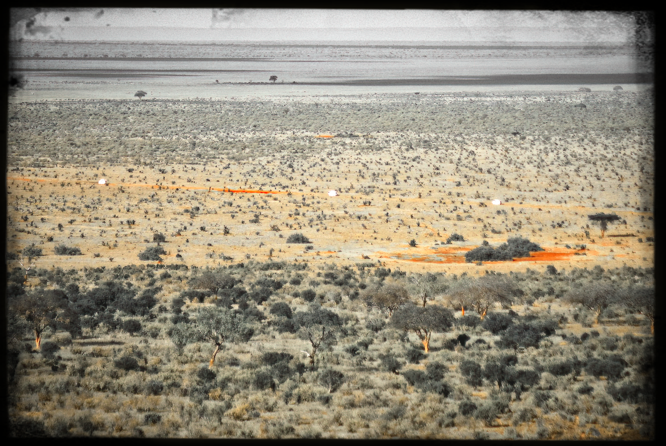 website_tsavo23-DeNoiseAI-raw-DeNoiseAI-raw.jpg