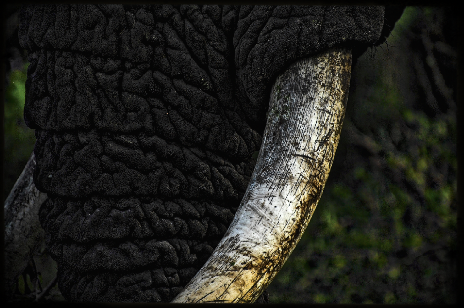 DSC_0755.png