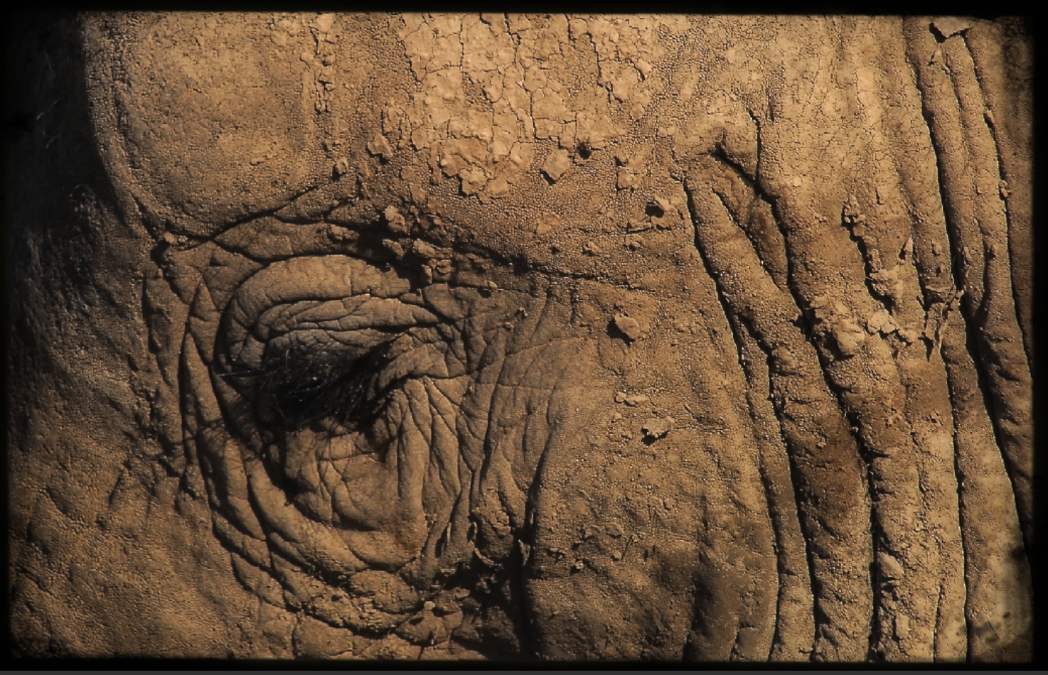 DSC_0753.png
