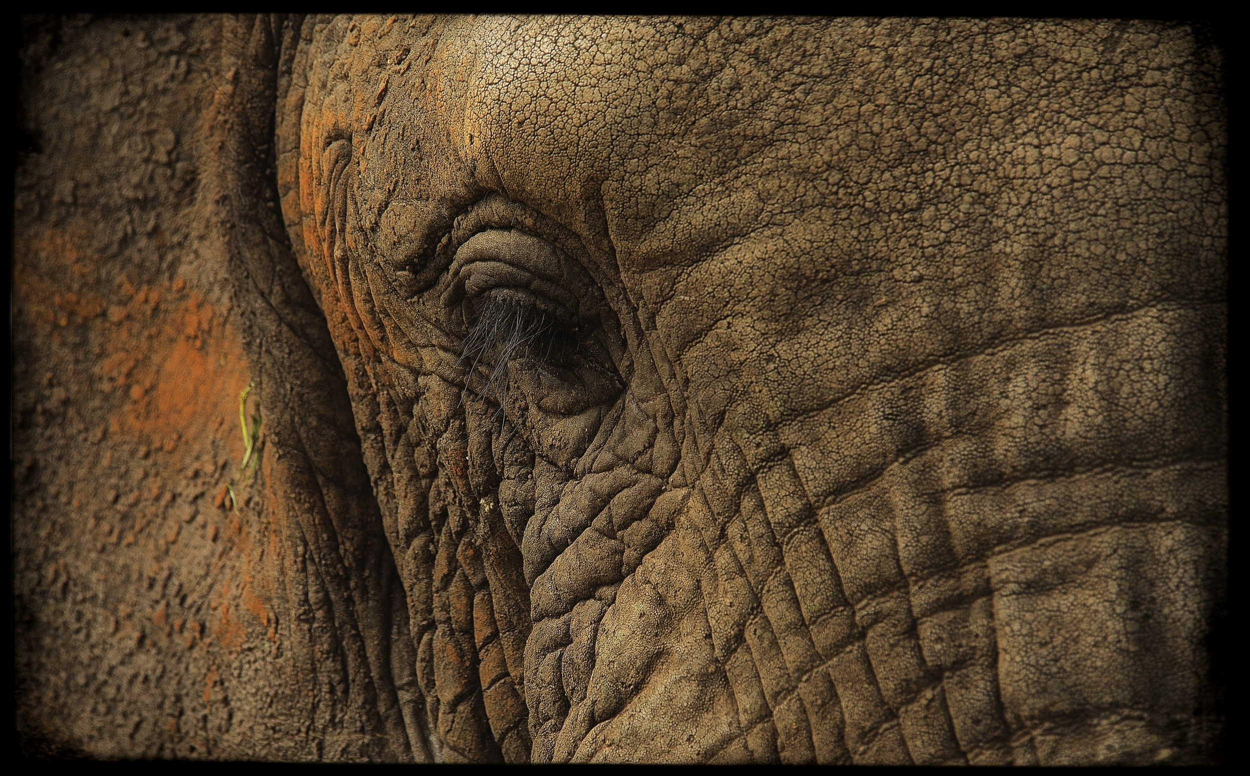 DSC_0760.png