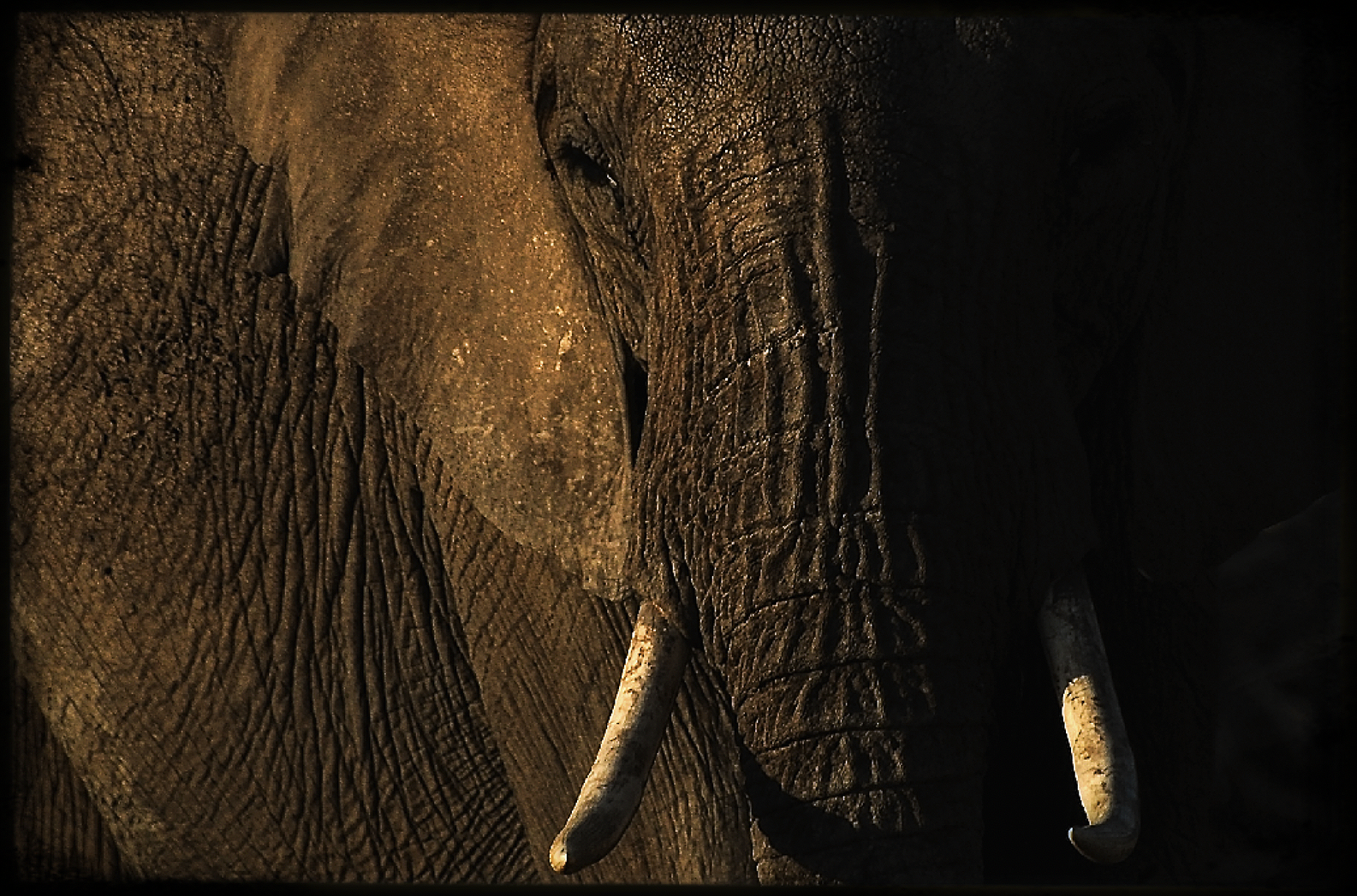 DSC_0754.png