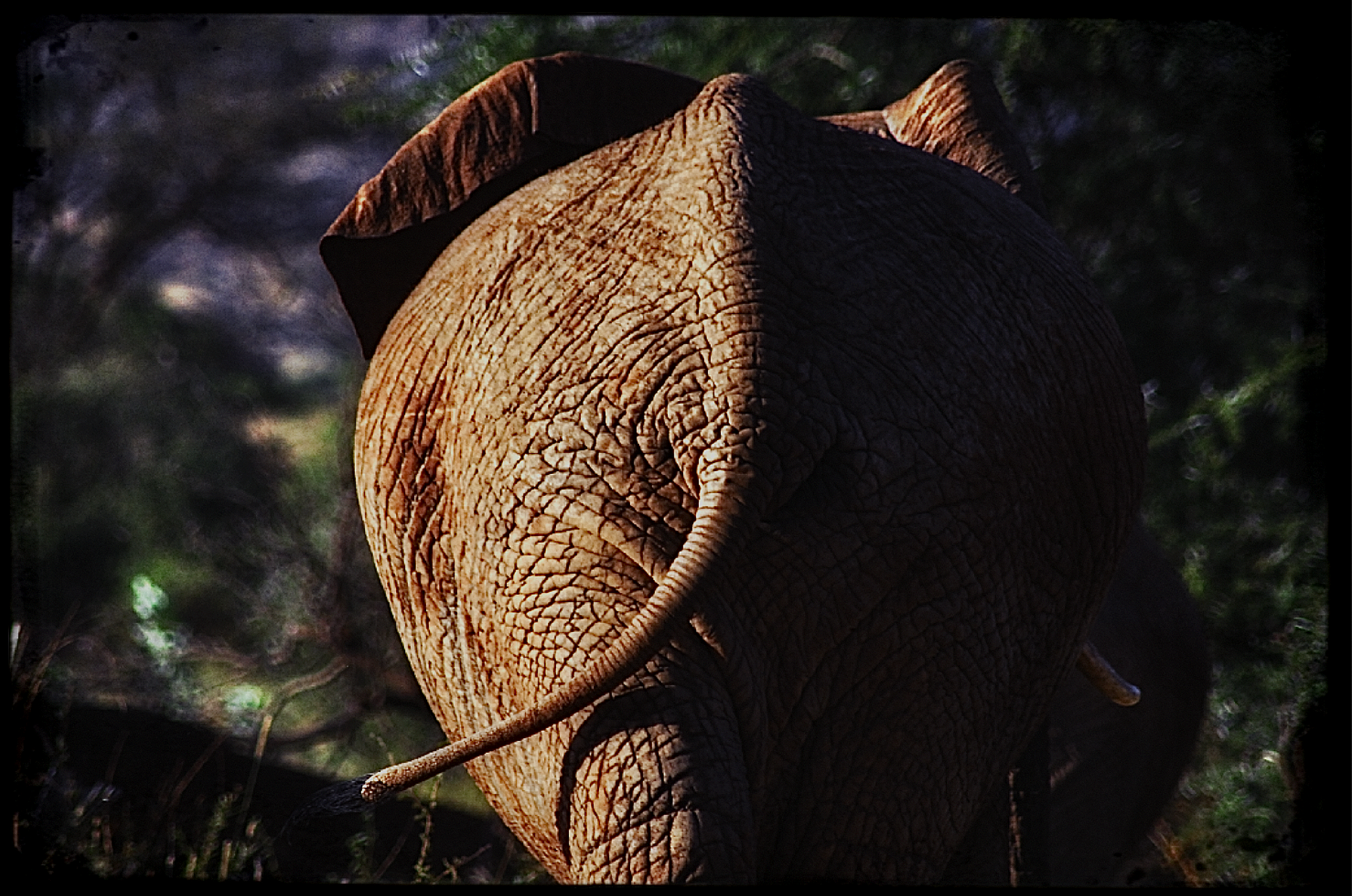 DSC_0757.png