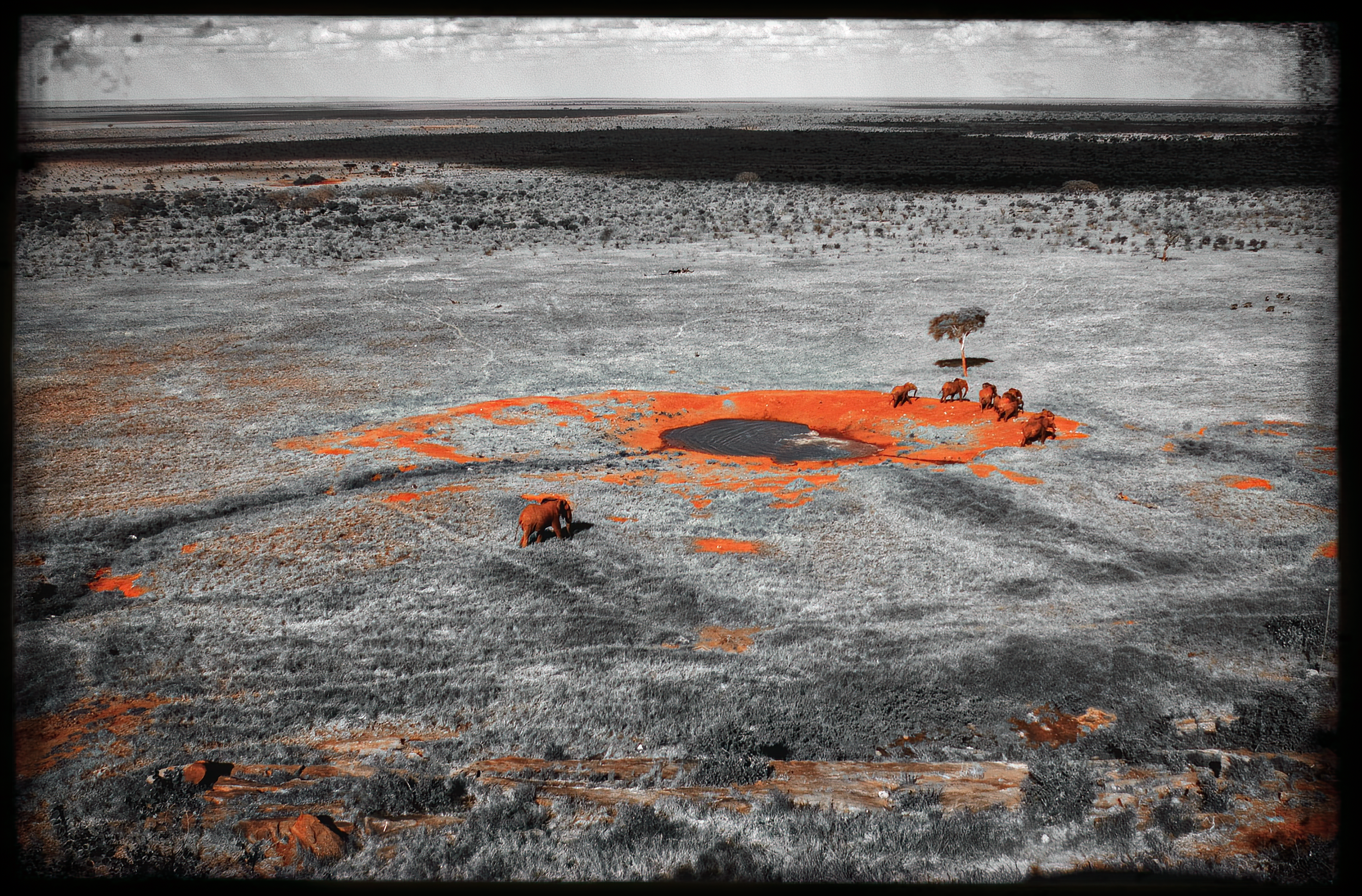 1.ghosts of tsavo-DeNoiseAI-raw.jpeg