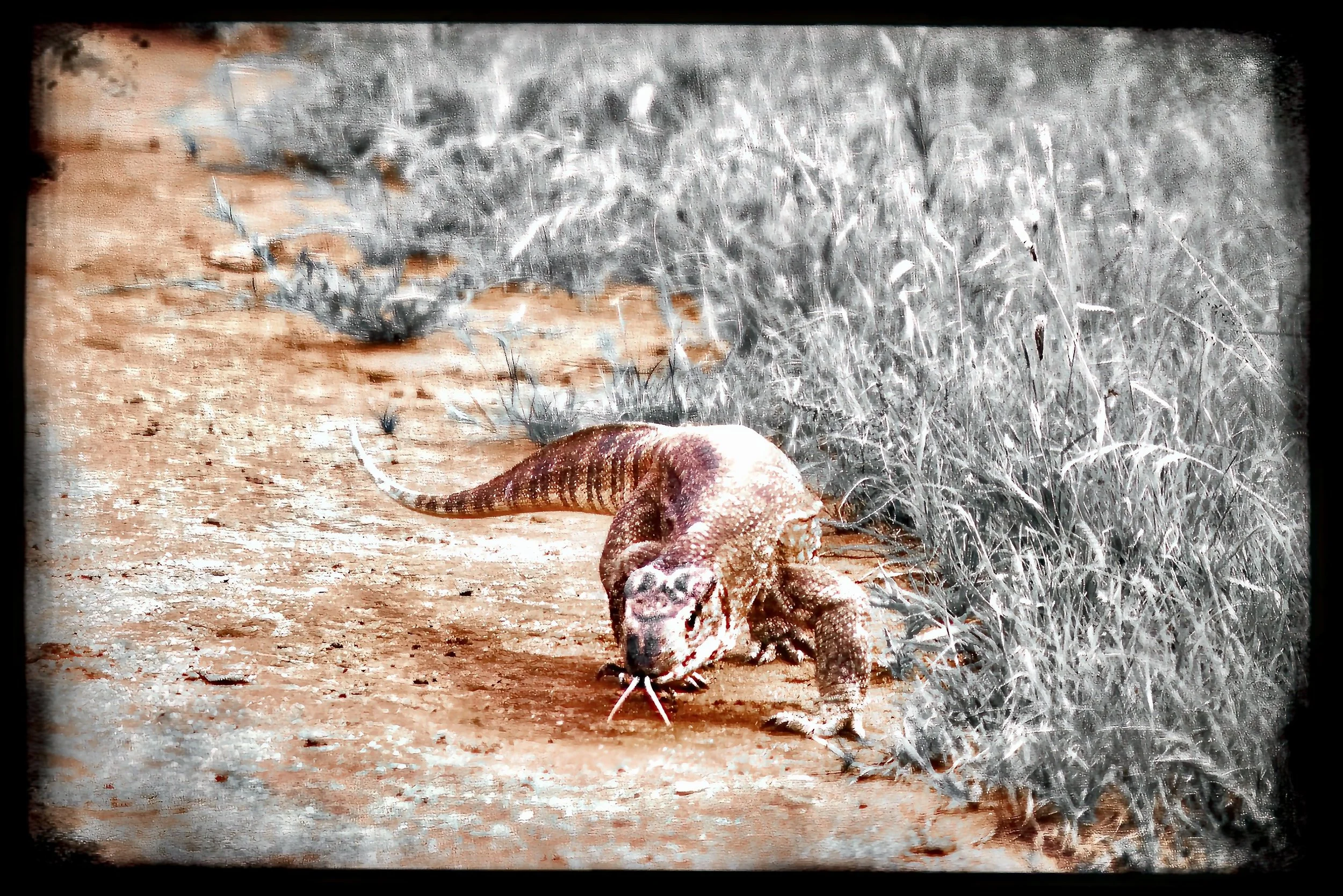 10.ghosts of tsavo-DeNoiseAI-raw.jpeg