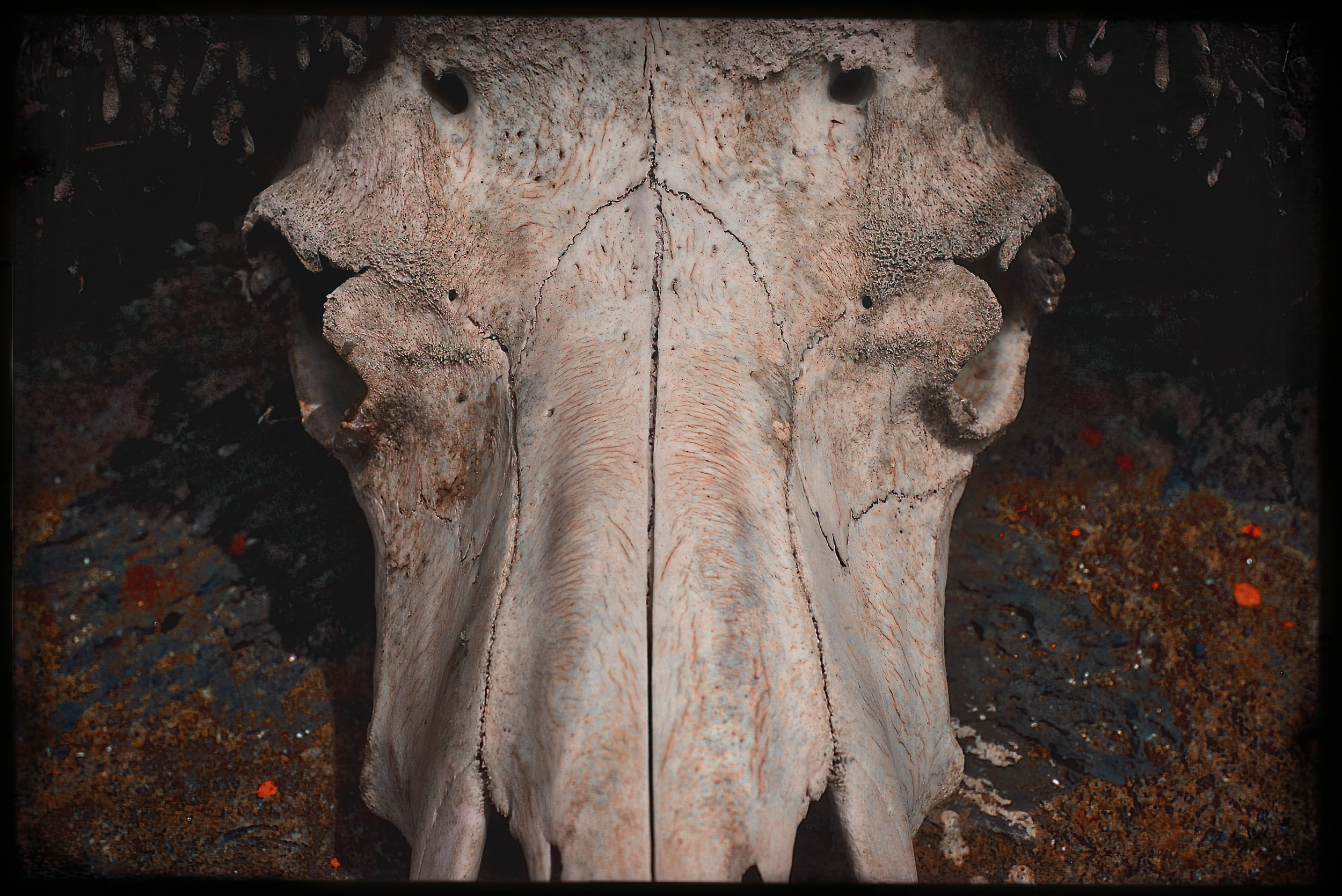 16.ghosts of tsavo-DeNoiseAI-raw.jpeg