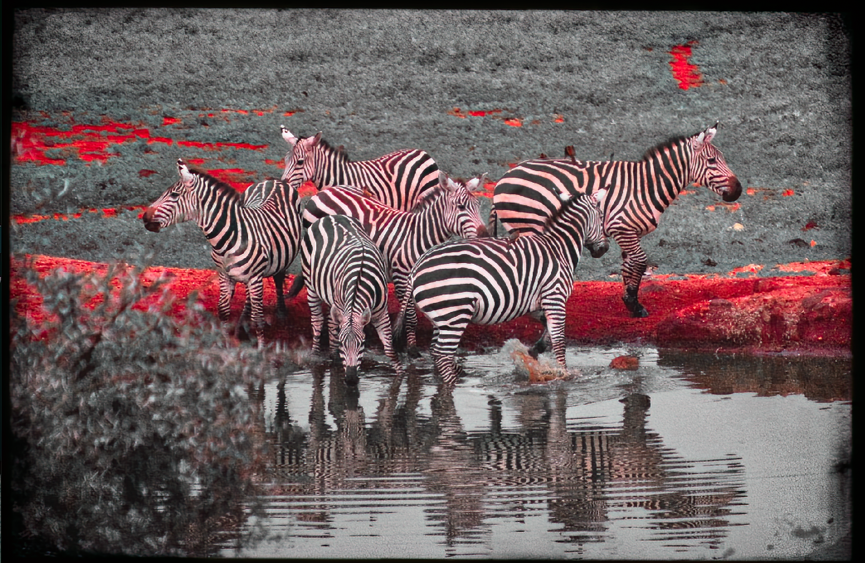 19.ghosts of tsavo-DeNoiseAI-raw.png