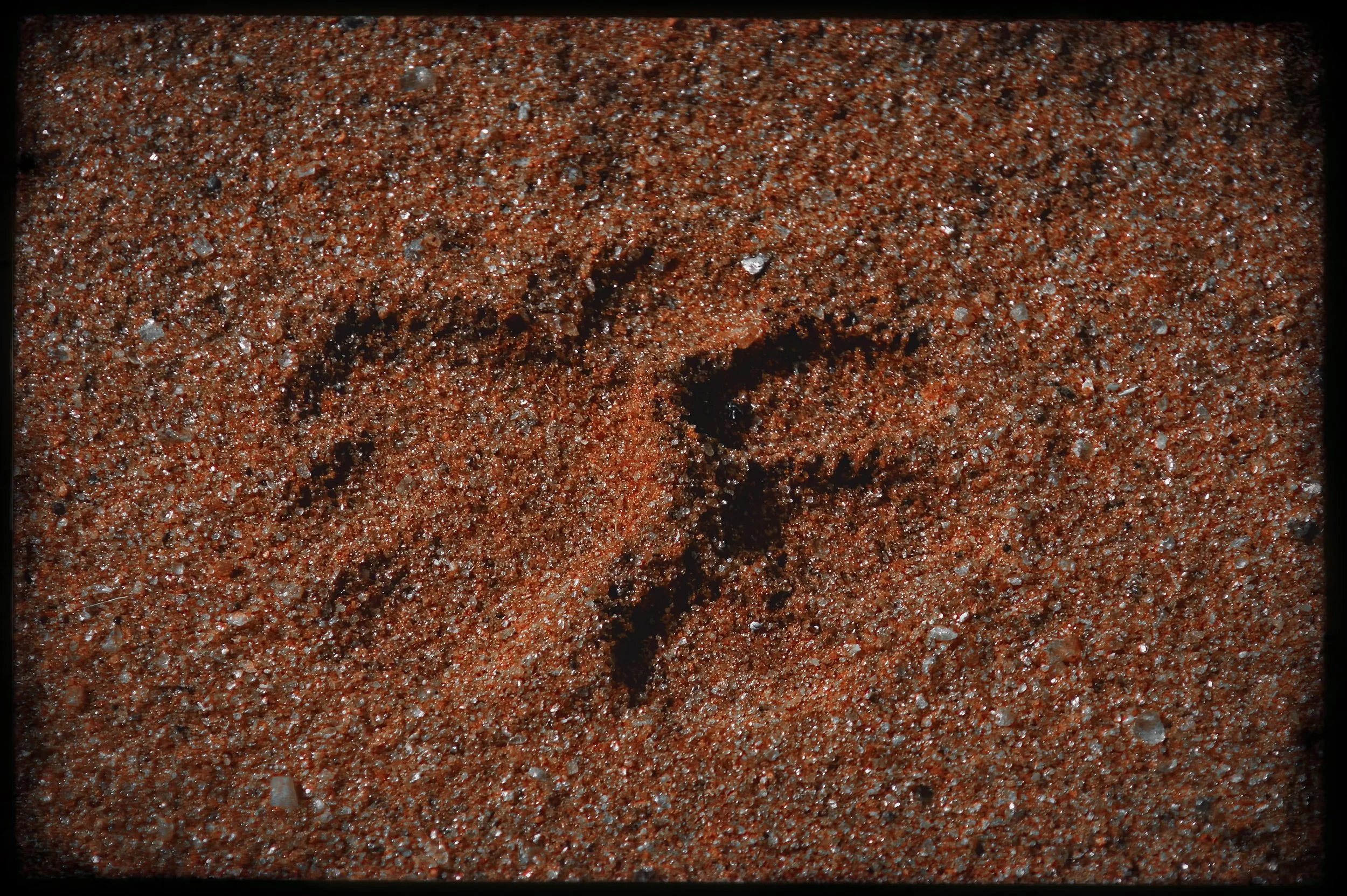 20.ghosts of tsavo-DeNoiseAI-raw.jpeg