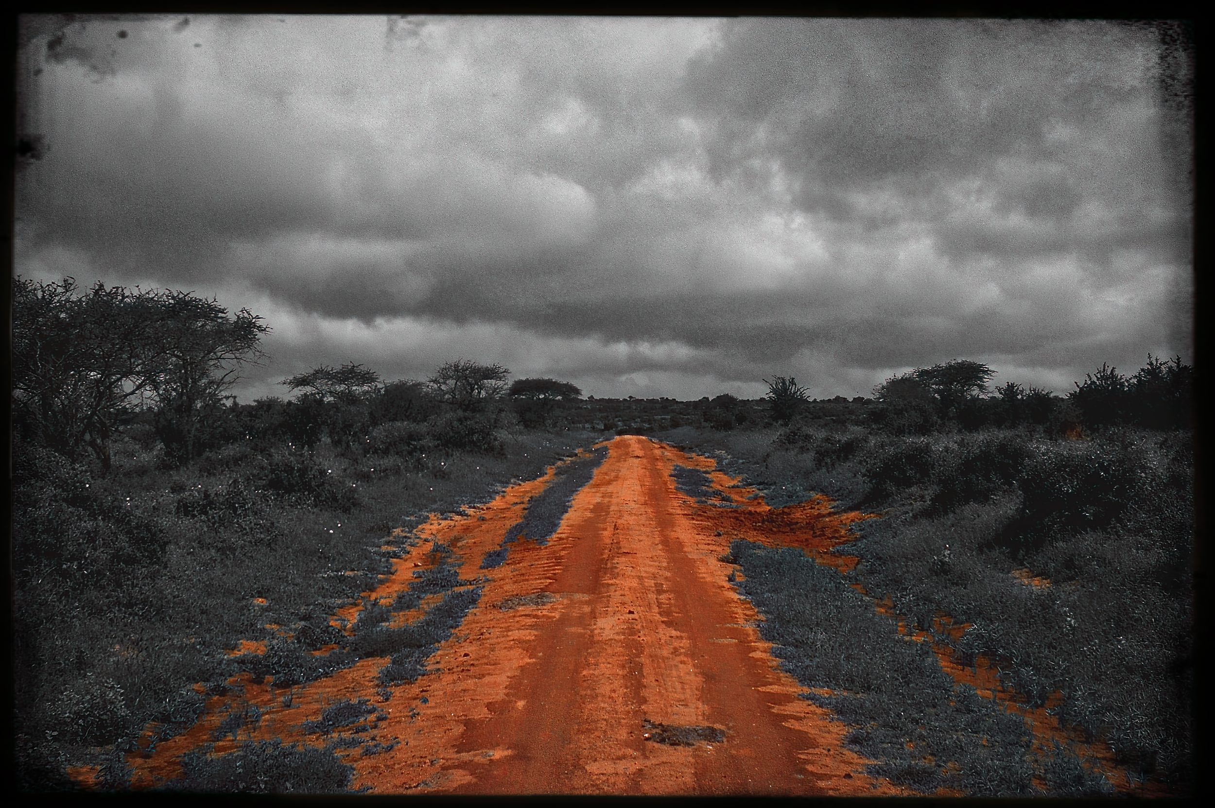 18.ghosts of tsavo-DeNoiseAI-raw.png