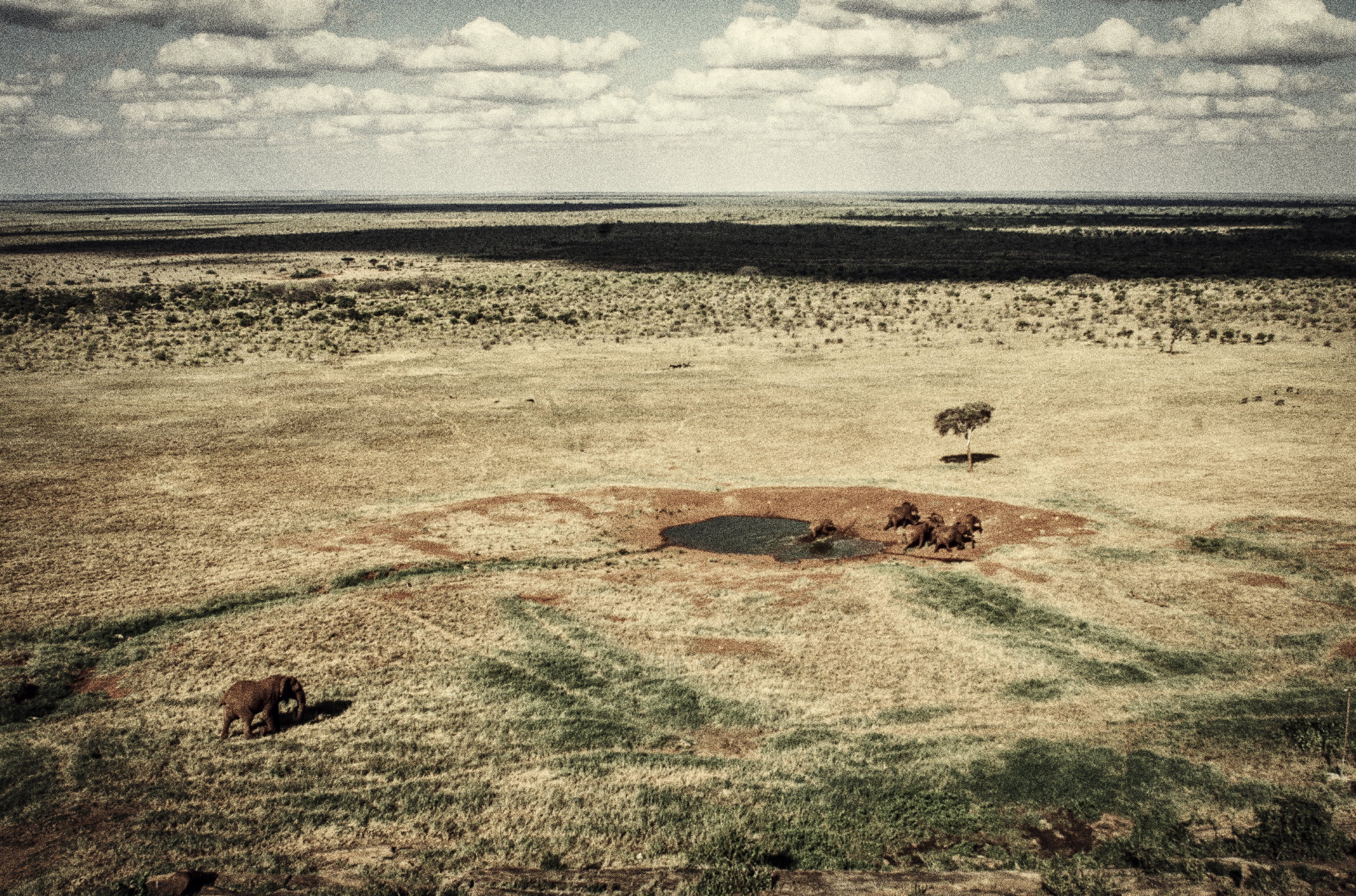 stories key art1-DeNoiseAI-raw.png