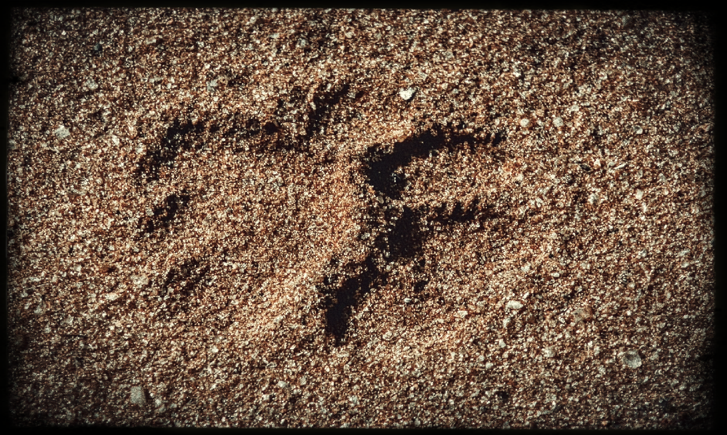 DSC_1667.png