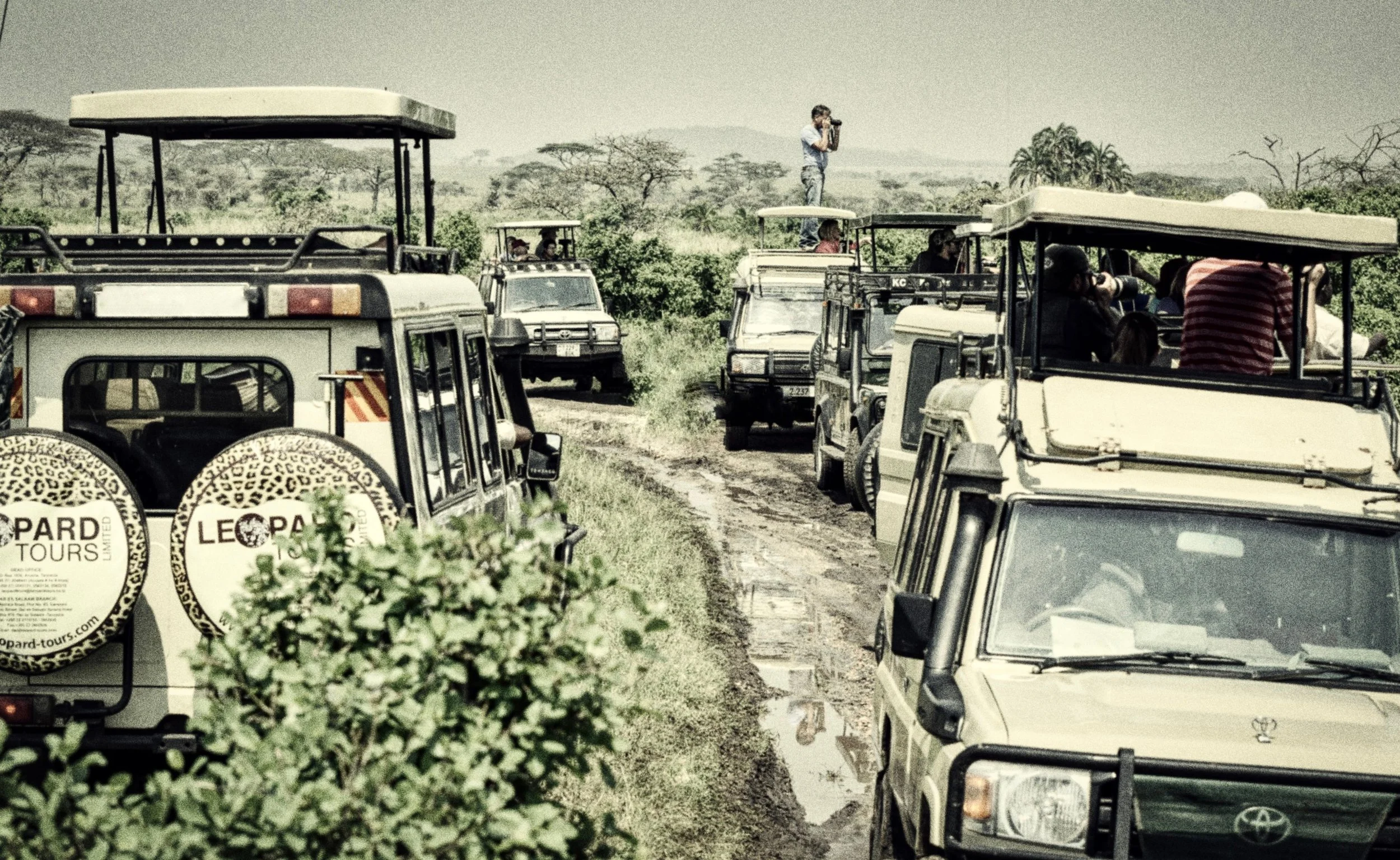 ©  serengeti watch.jpg