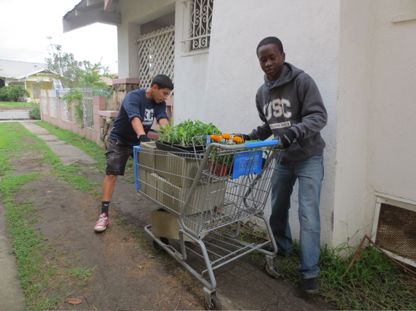 chet-moving-plants.jpg