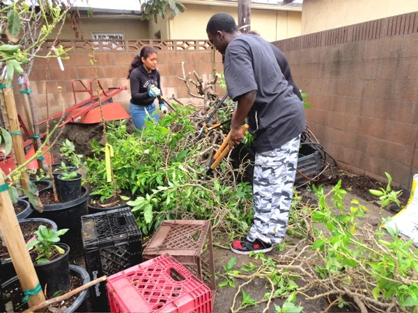 chet-planting-mar-14.jpg