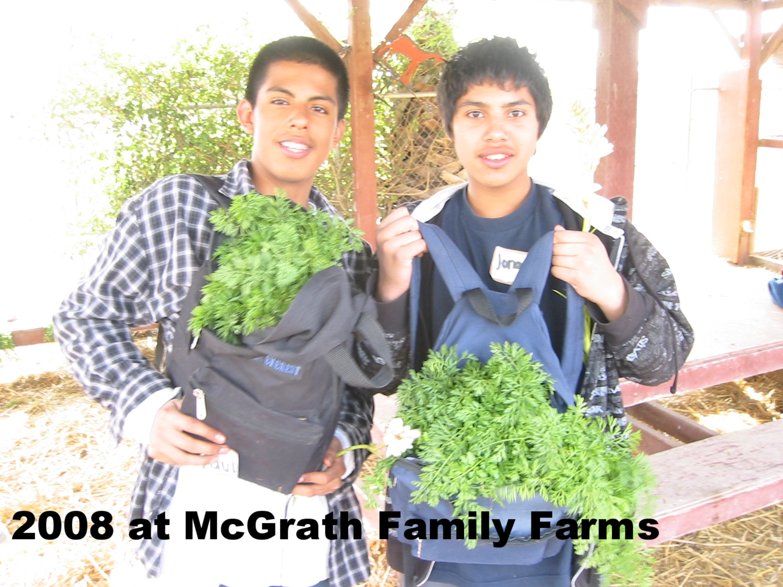 RD McGrath Boys Greens.JPG