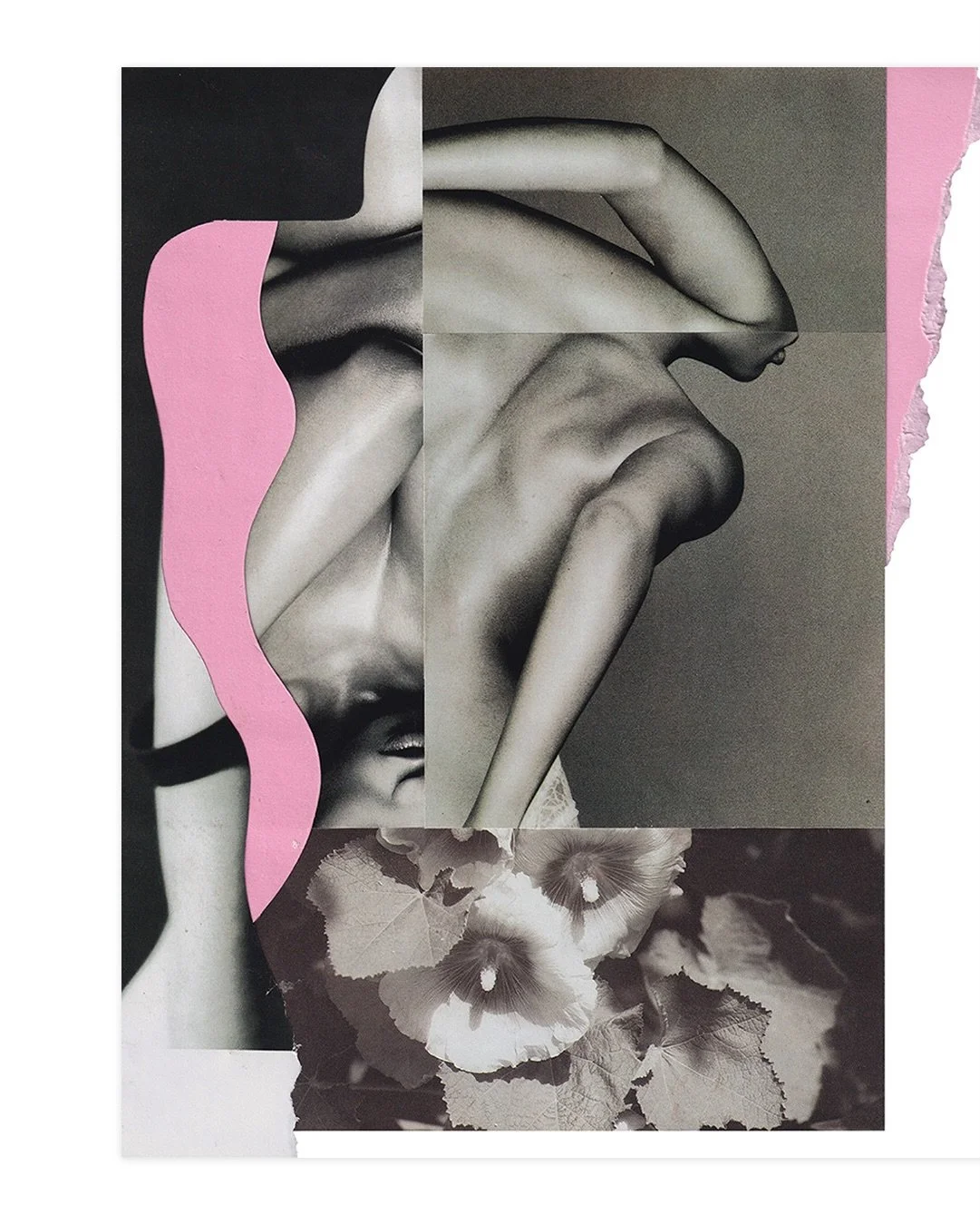 &lsquo;Folded Light&rsquo; by SCS artist Steve Tierney opens tonight at Clifton School of Arts, with the exhibition running until 16 February 2026.

@steve__tierney
@artsclifton

From the artist:

Folded Light&nbsp;presents new artworks by Steve Tier