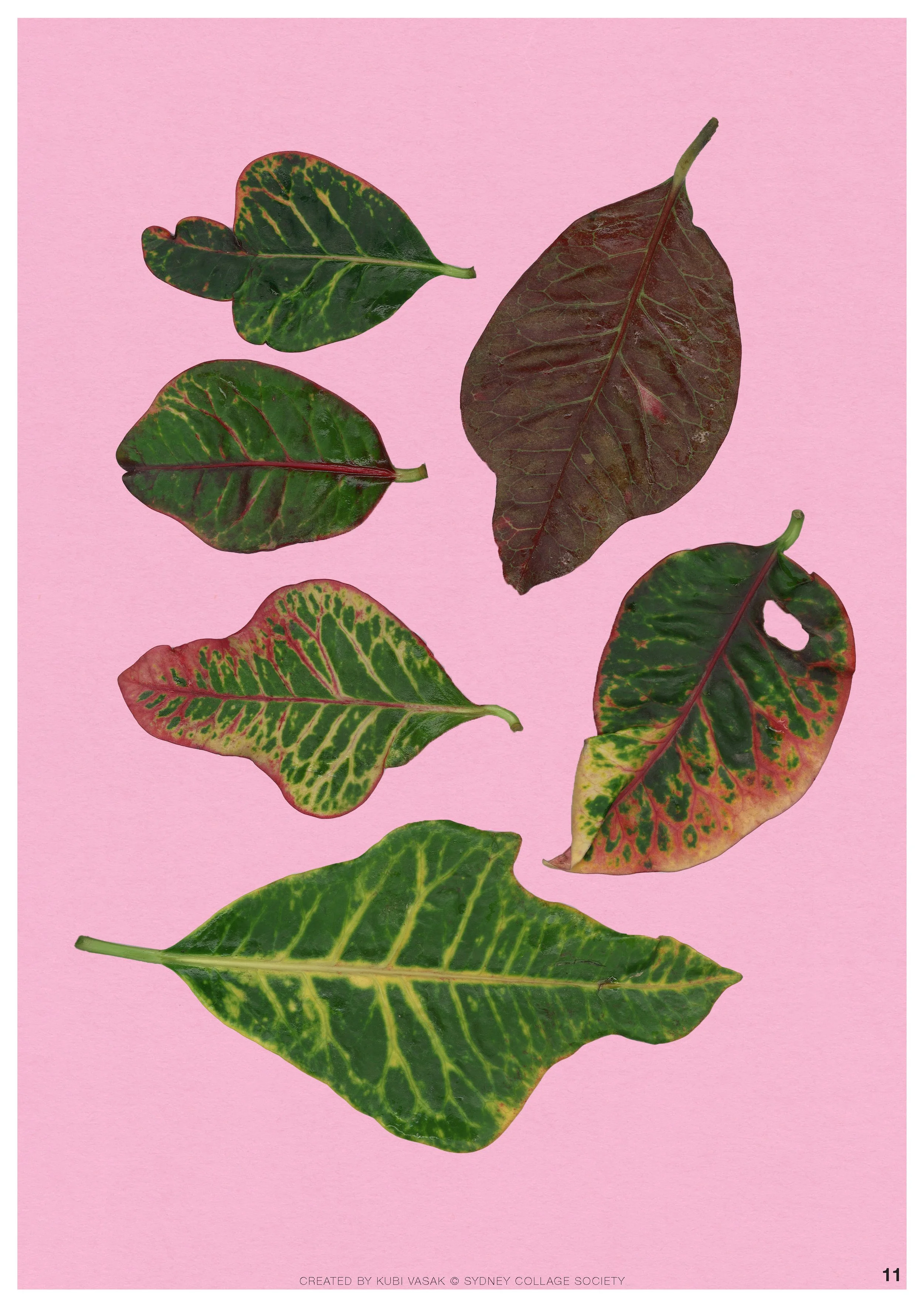CAMHS-Collage-Kit-A4-Print-_Page_11.jpg