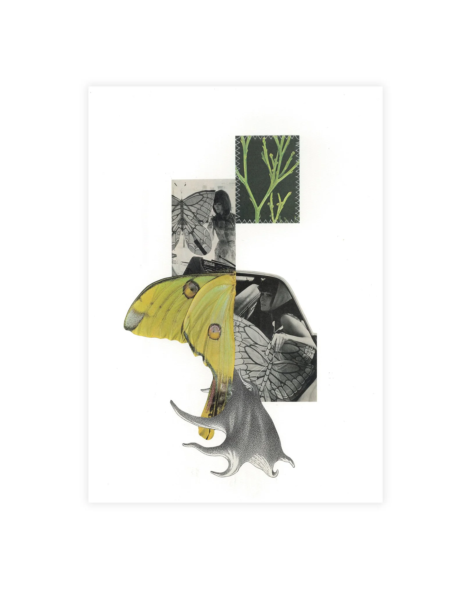 'Commuter' by Liz Peniazeva