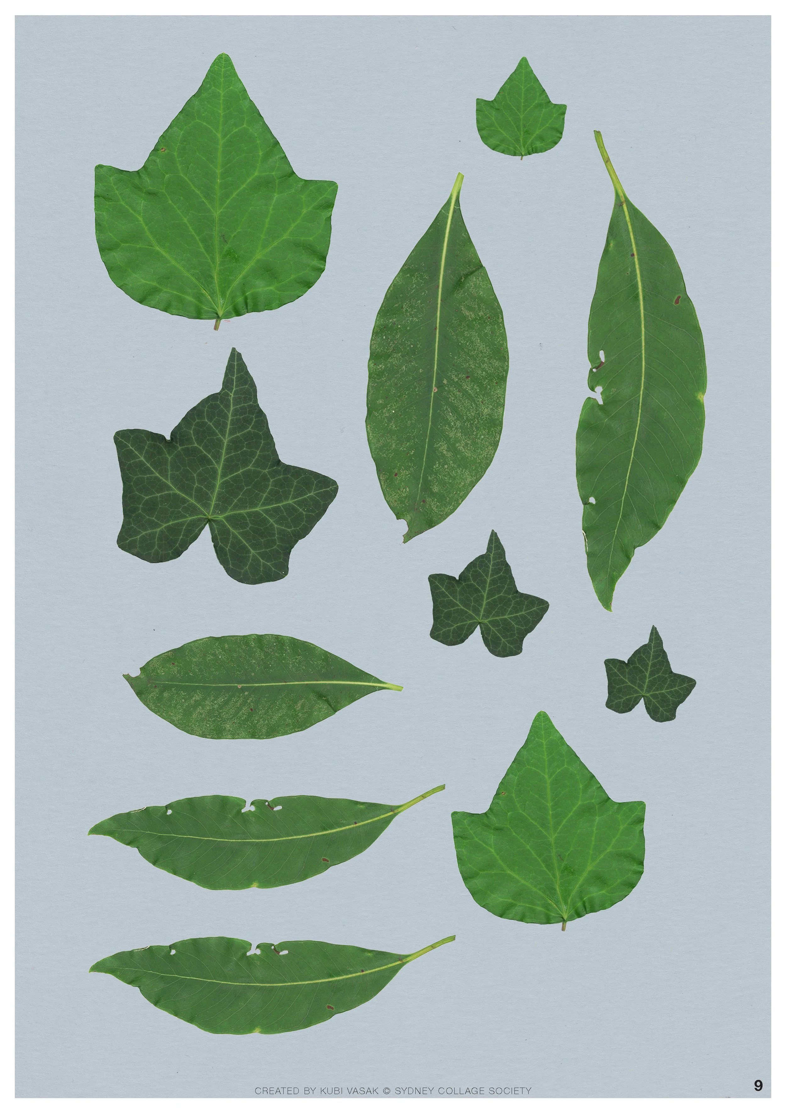 CAMHS-Collage-Kit-A4-Print-_Page_09.jpg