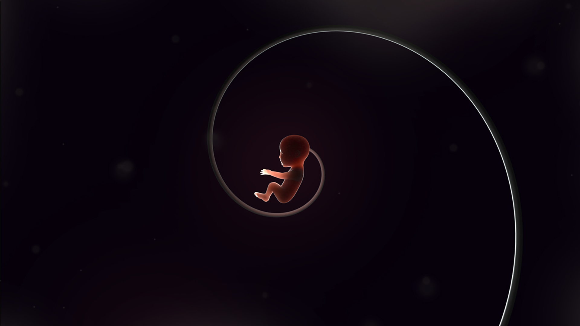 Effixx_4_8.png