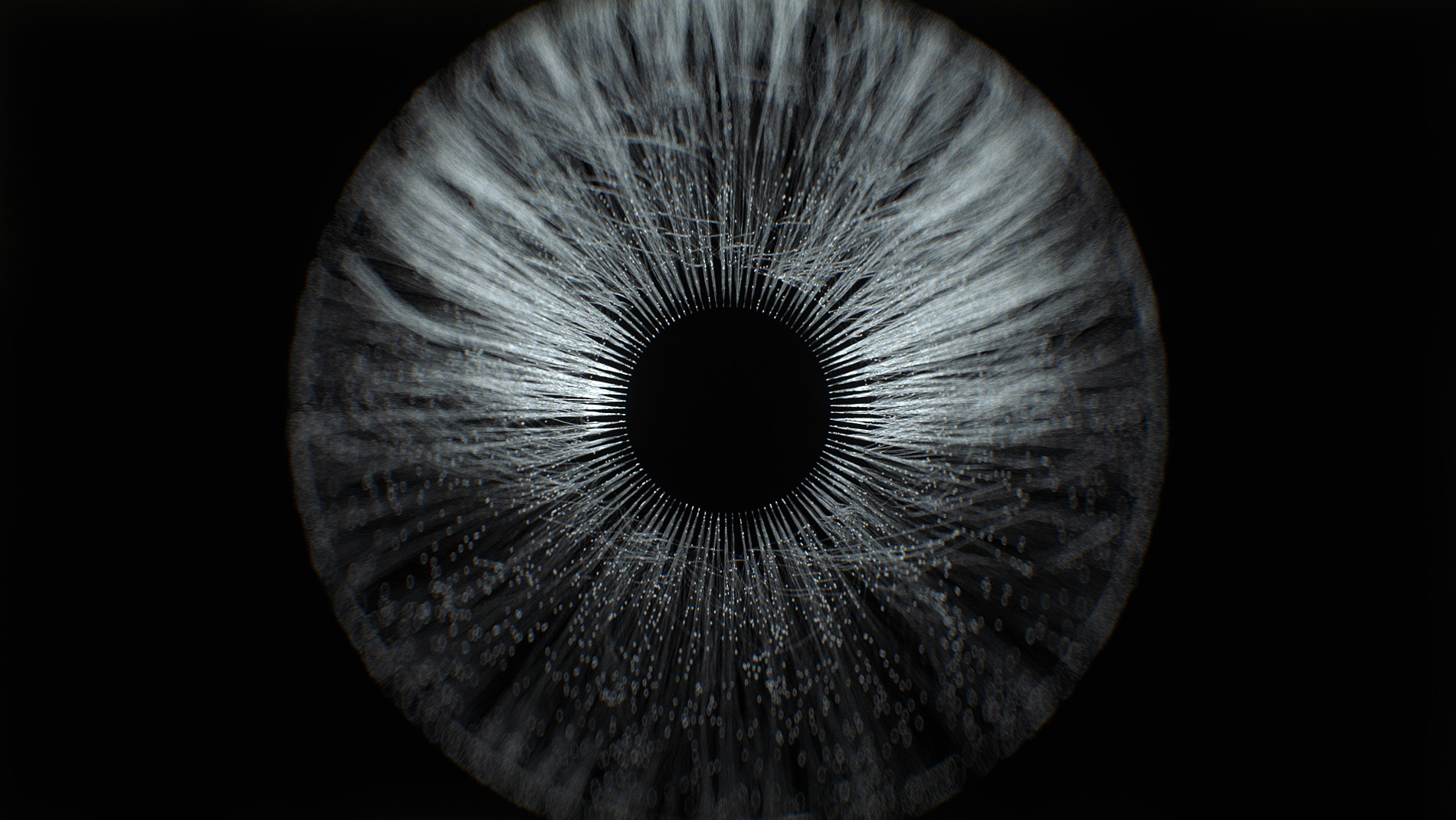 Deck_Crown-sterling_Visuals_23C_v12-38.png