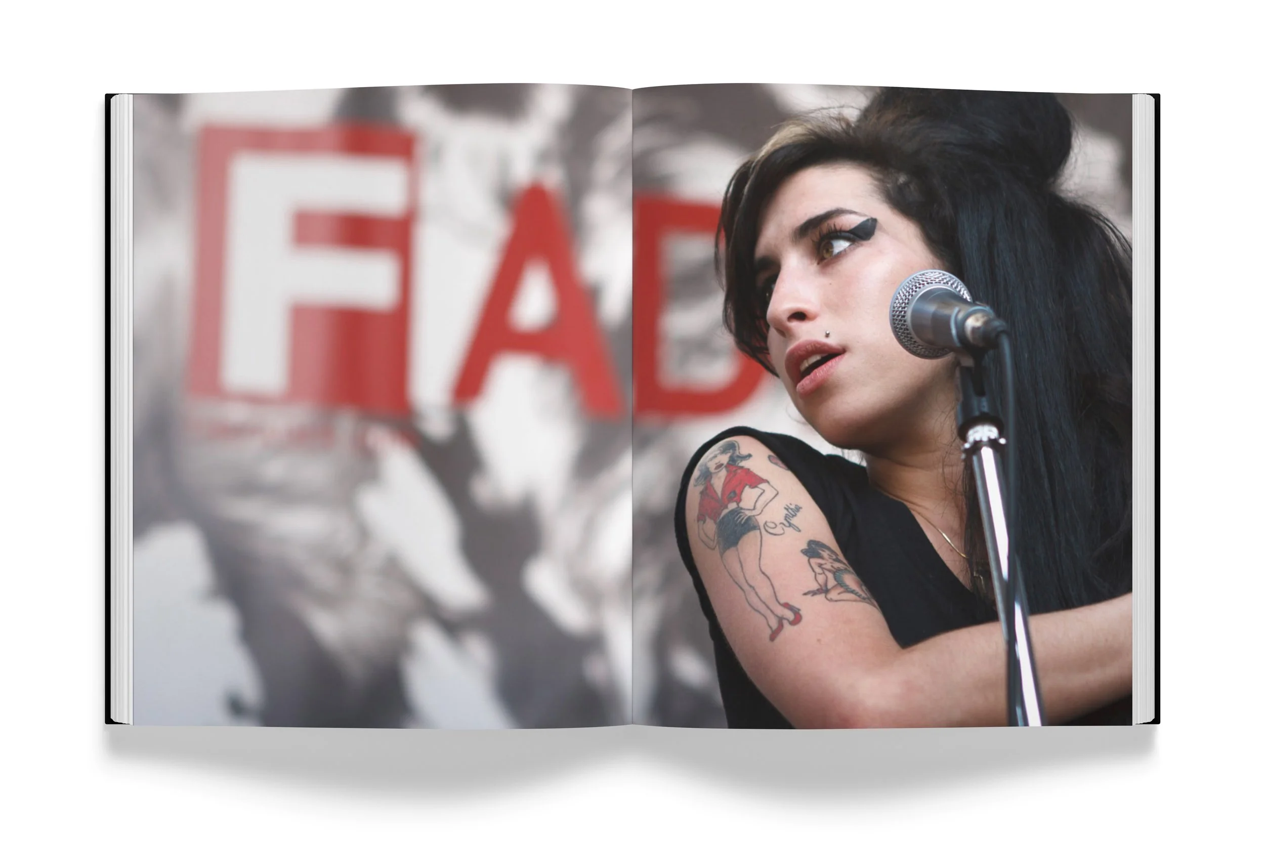 fader_fort_book_10.jpg