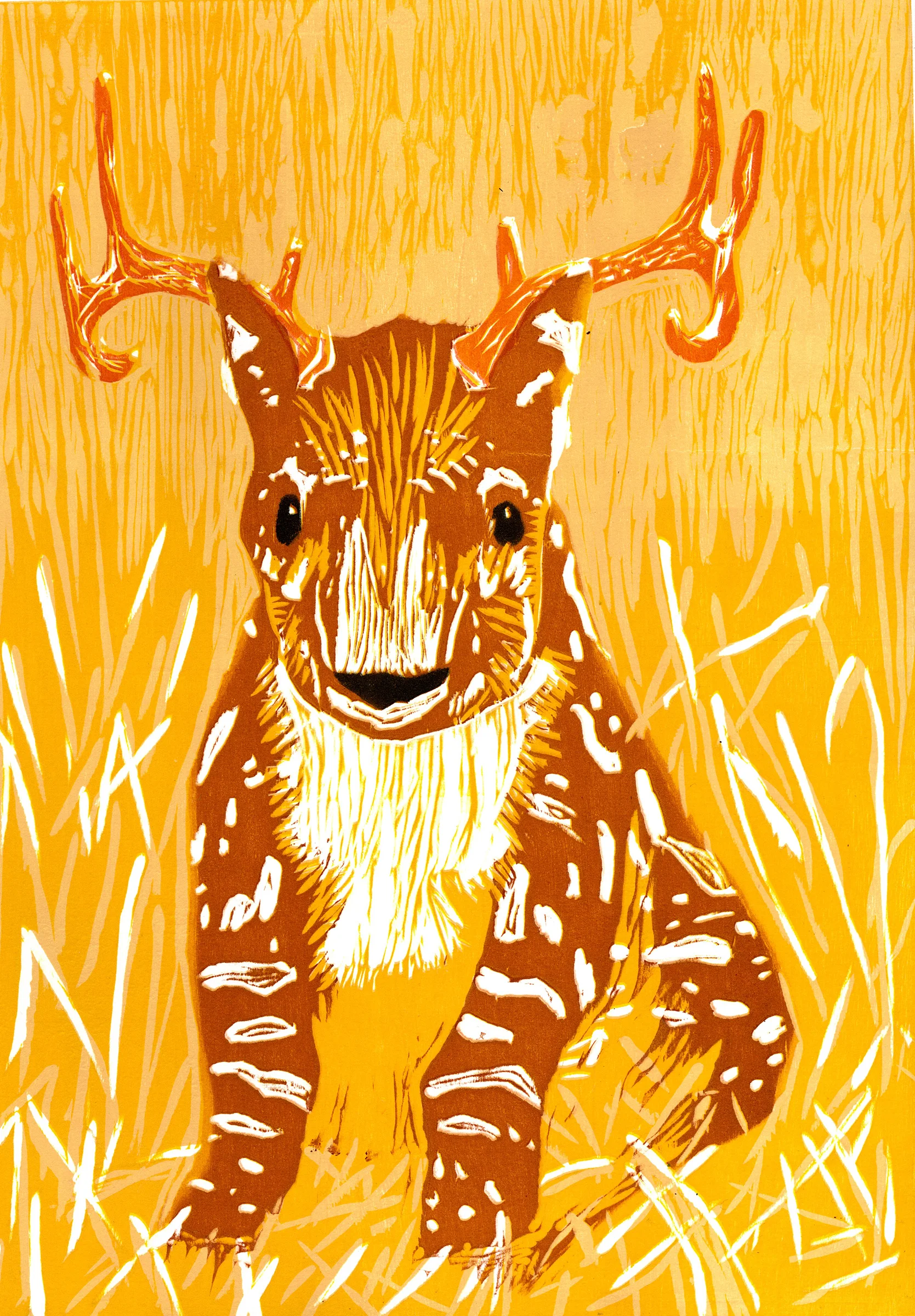 Deer-Tapir
