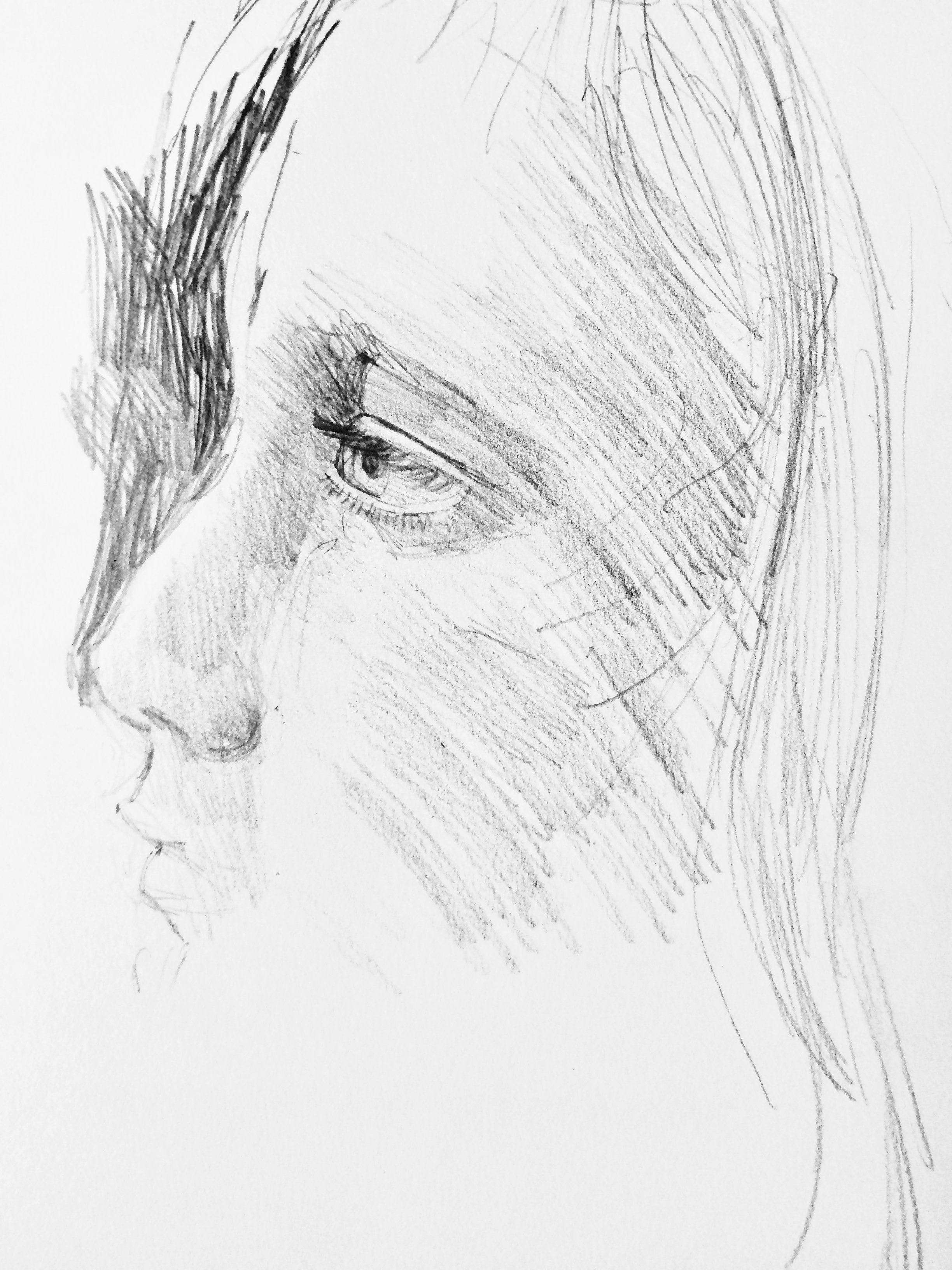 IMG_2029.jpeg