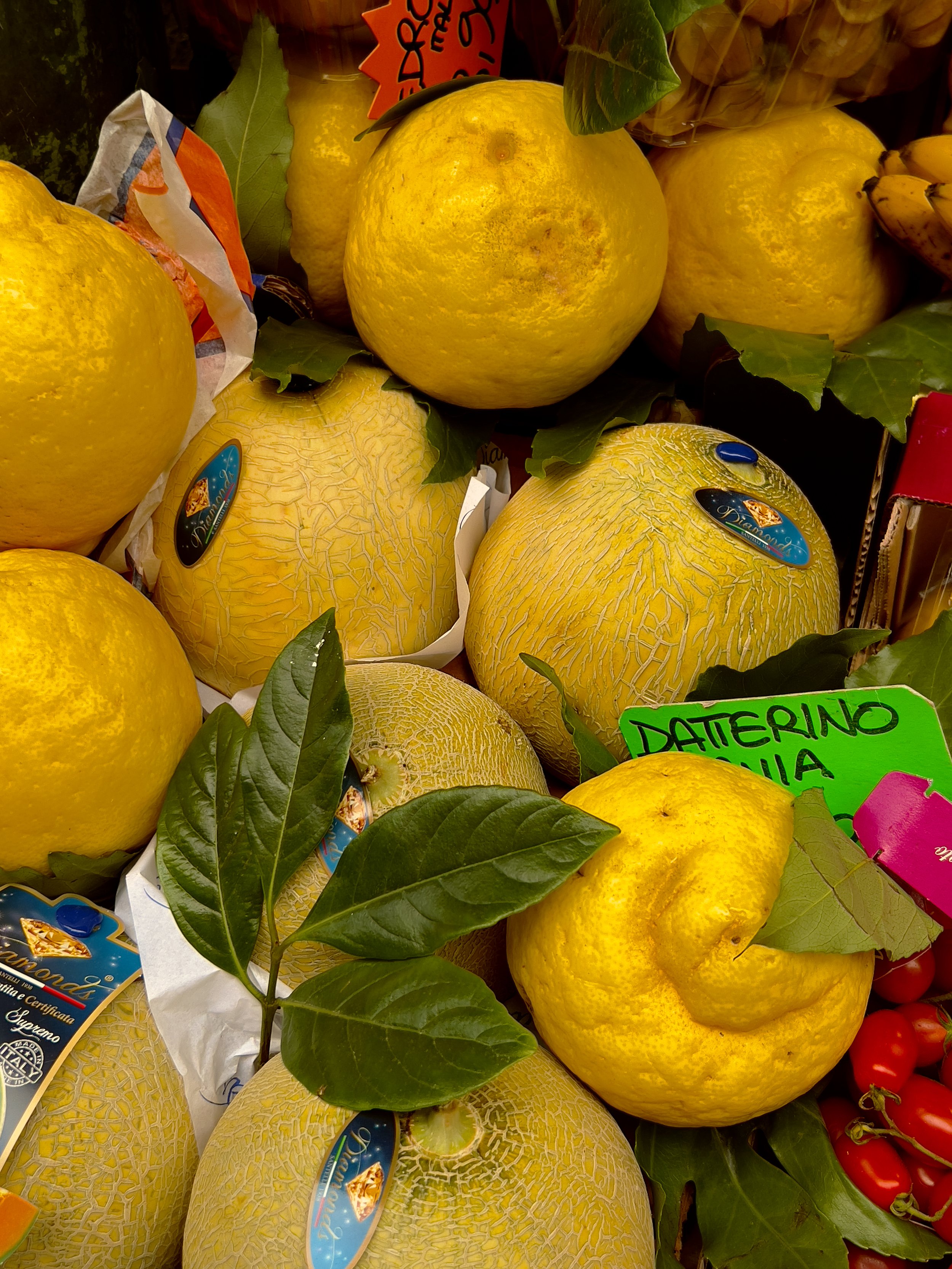 20220614 Milano Italy Lemons Fruit Food IMG_9473.jpeg