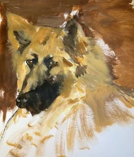 Dodger the German Shepherd Dog