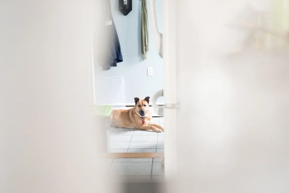 Cape Cod Wedding Wychmere Beach Club