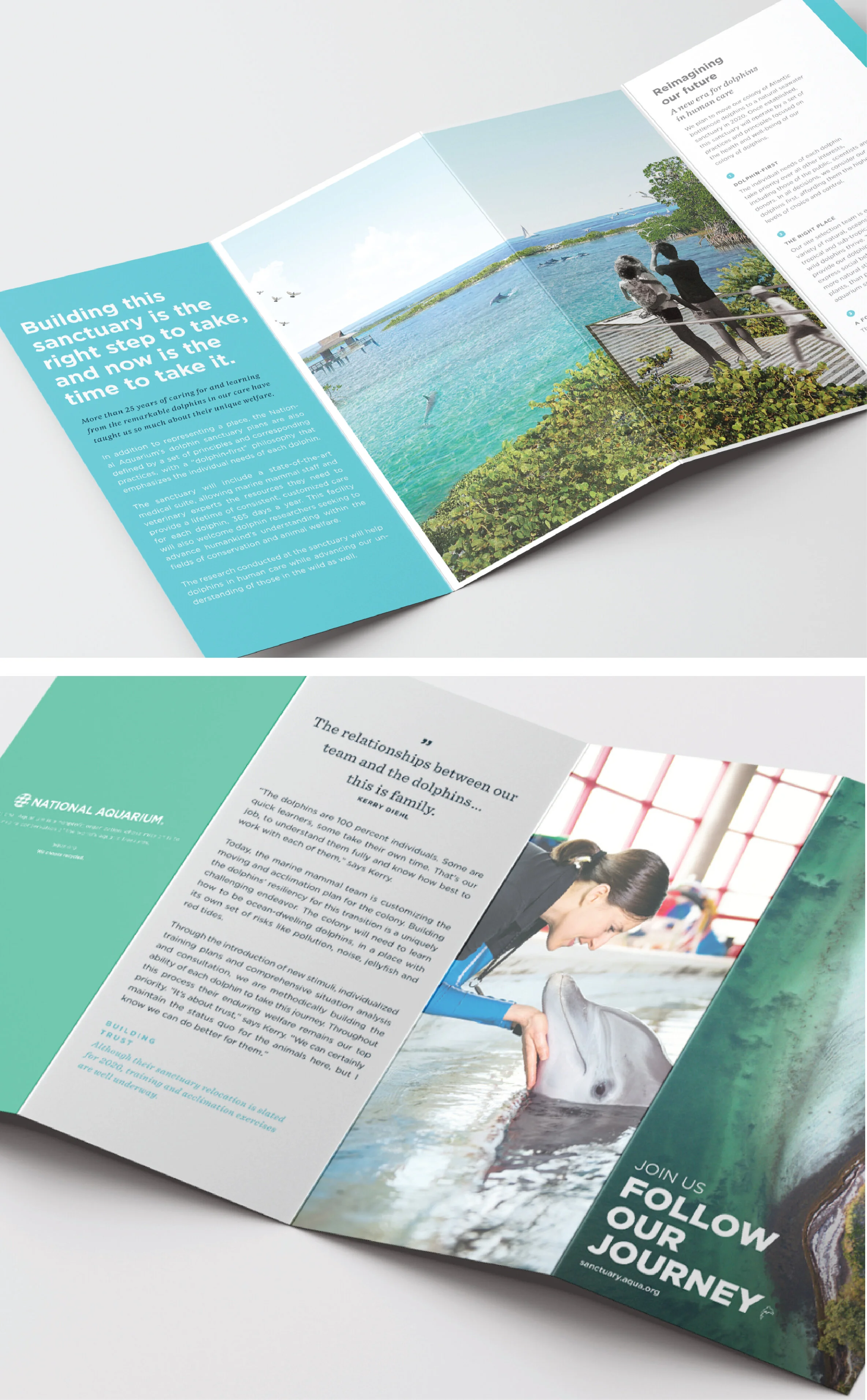 Dolphin Journey_Brochure NA 1.jpg