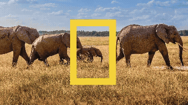 Paid - Family Journeys - V5 - 16x9 (2).gif